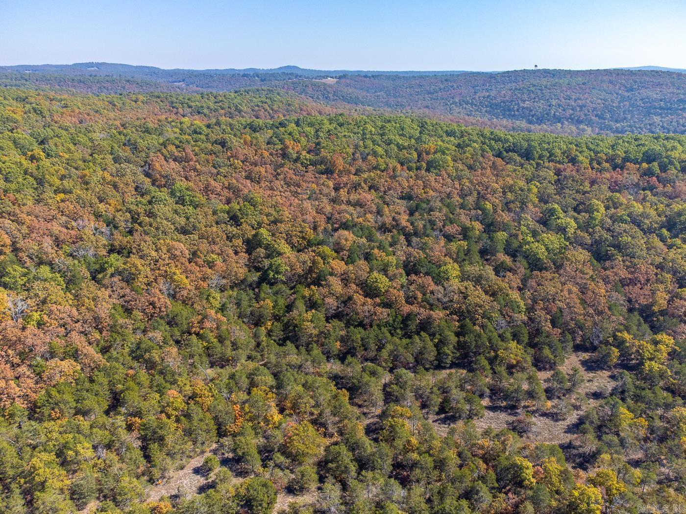 40 Acres Mc #113 Road Property Photo 4