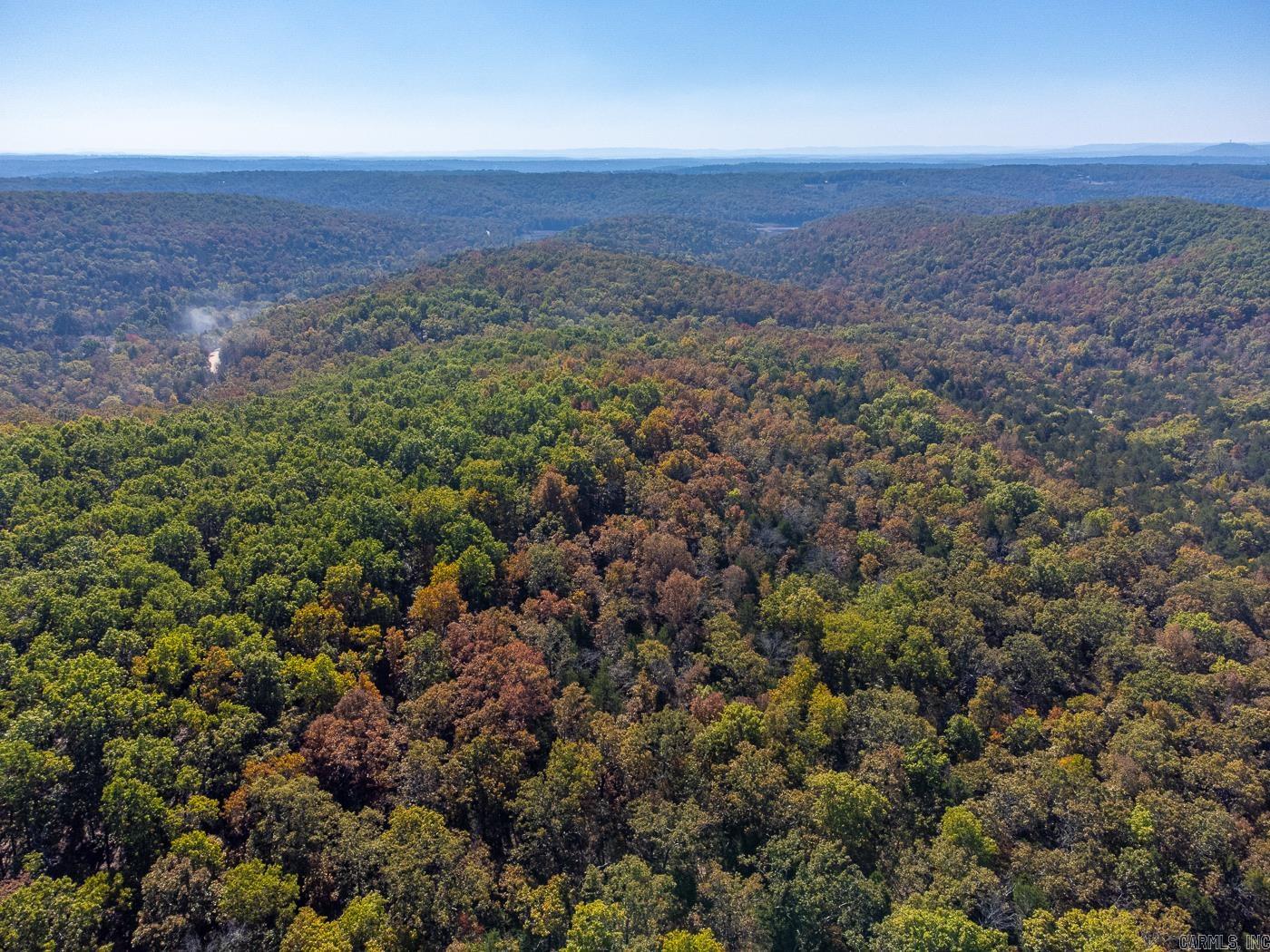 40 Acres Mc #113 Road Property Photo 5