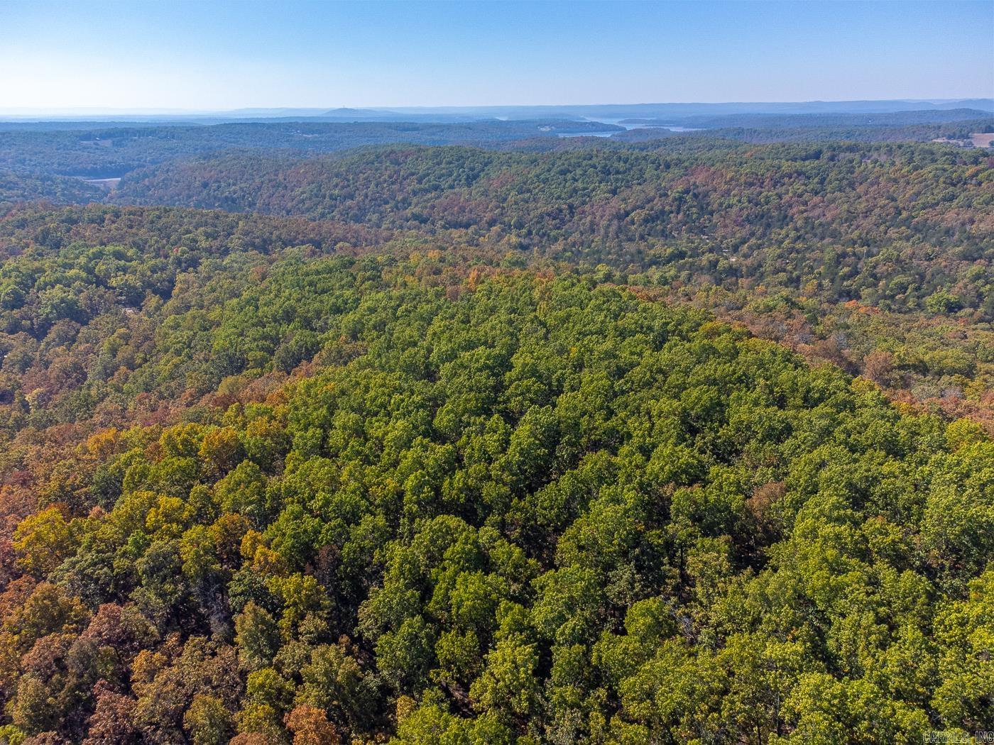 40 Acres Mc #113 Road Property Photo 6