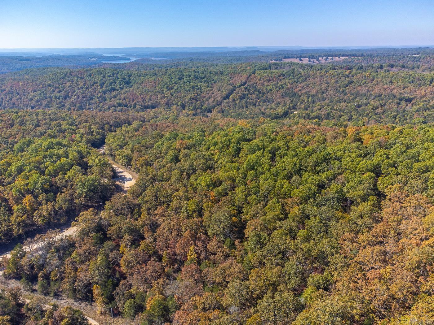 40 Acres Mc #113 Road Property Photo 7