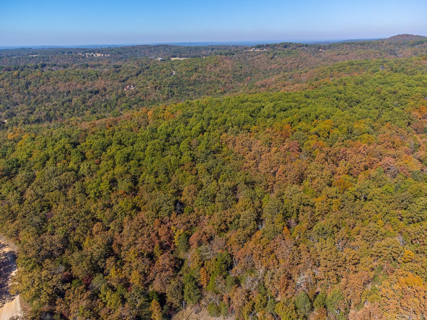 40 Acres Mc #113 Road Property Photo 8
