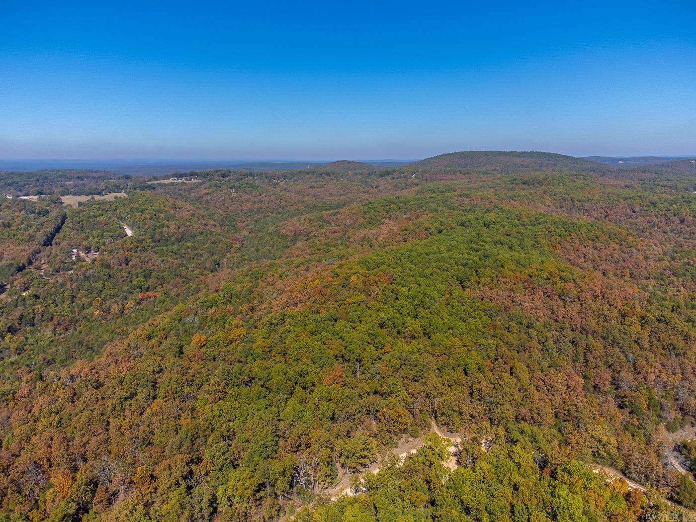 40 Acres Mc #113 Road Property Photo 10