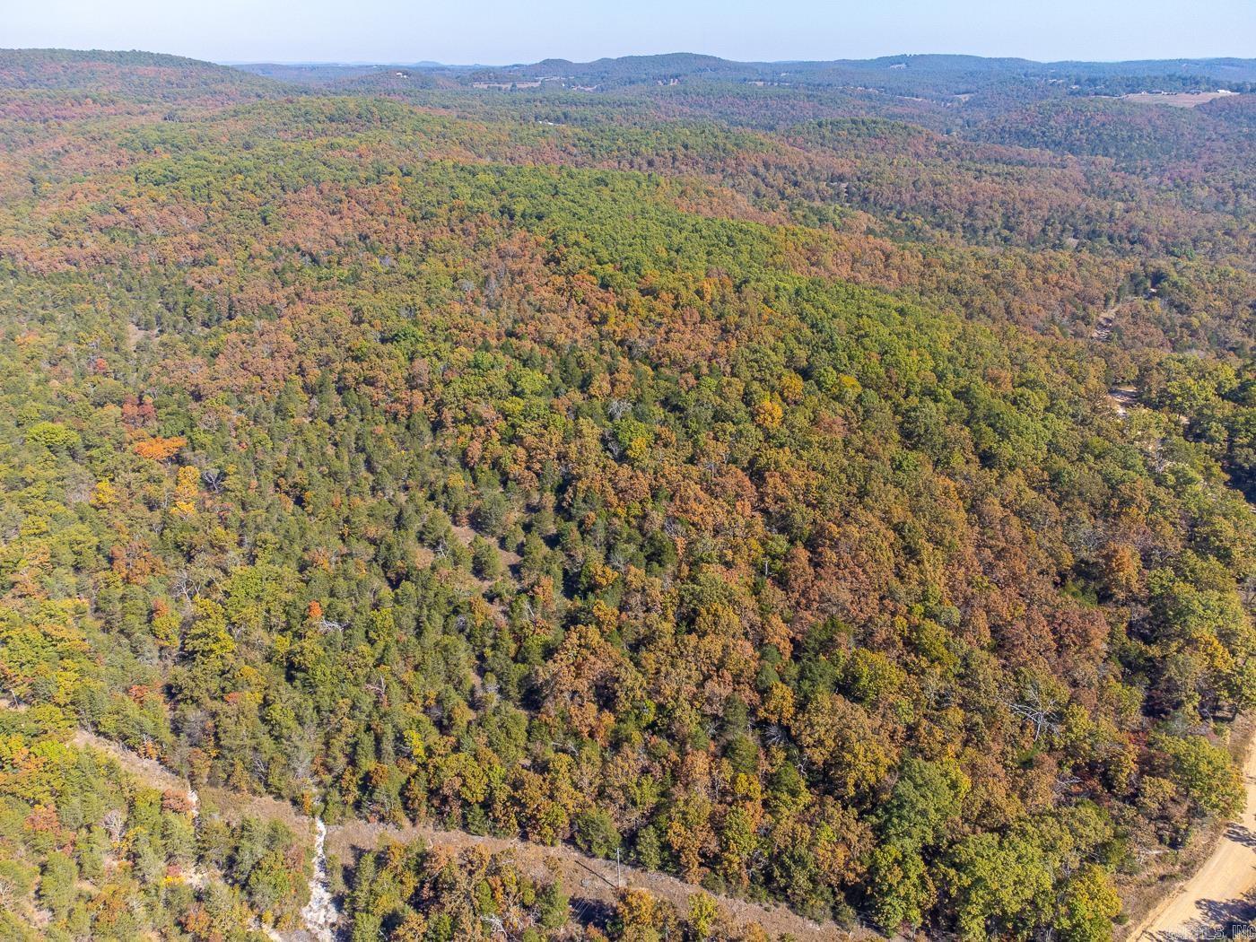 40 Acres Mc #113 Road Property Photo 11