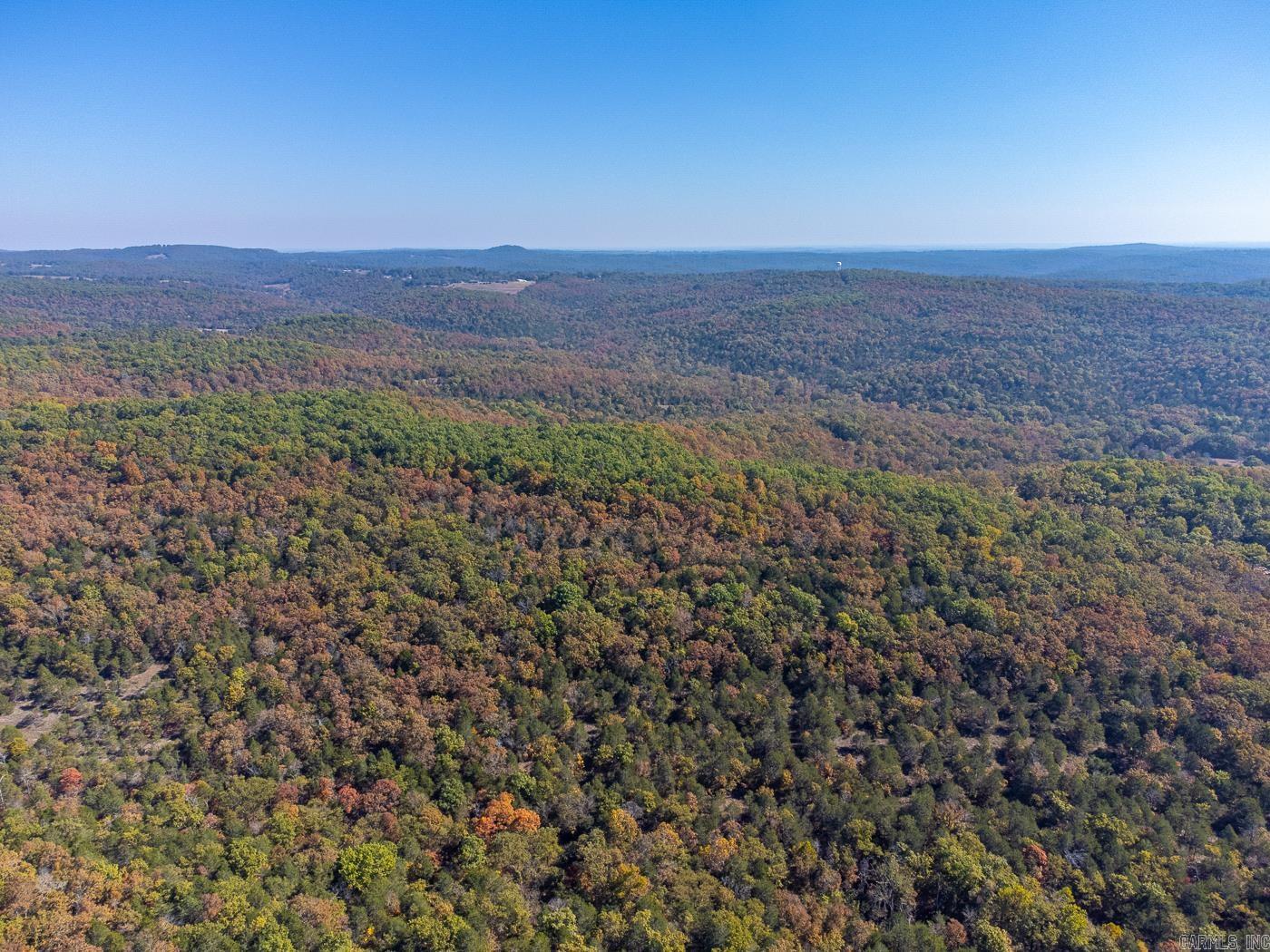 40 Acres Mc #113 Road Property Photo 13