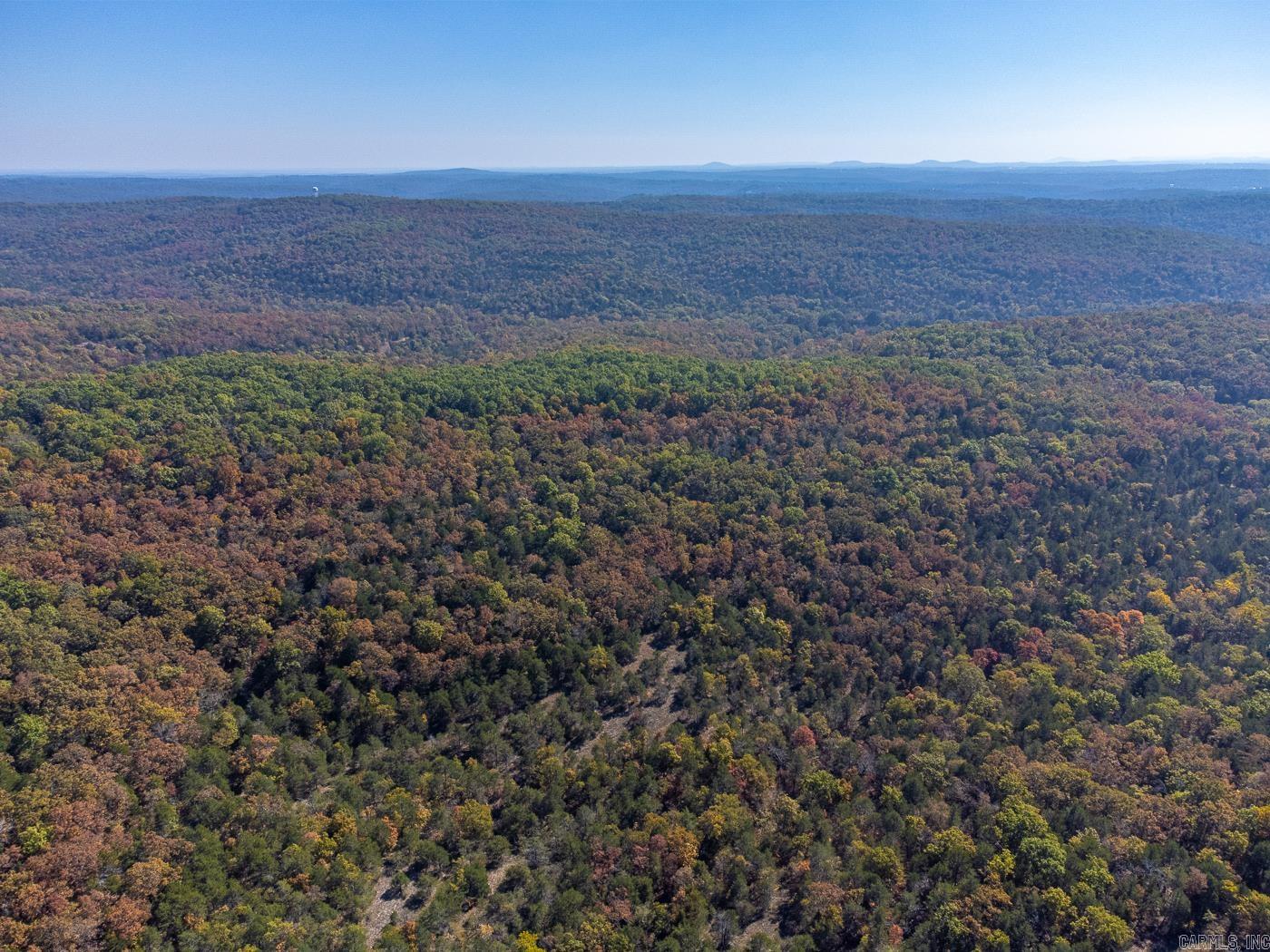 40 Acres Mc #113 Road Property Photo 14