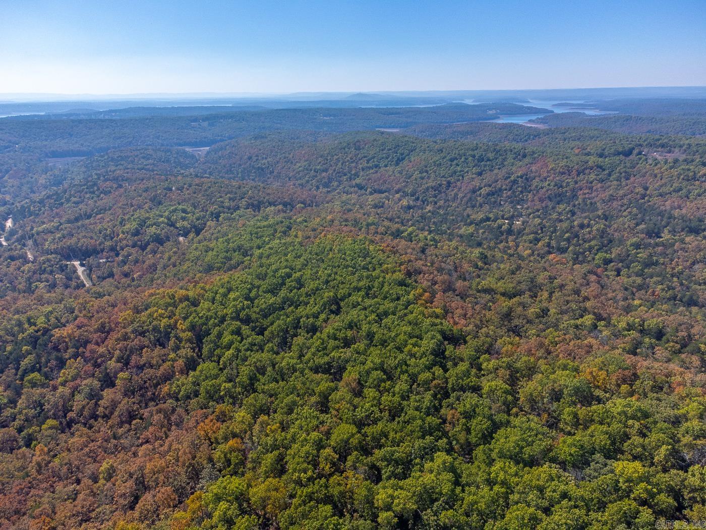 40 Acres Mc #113 Road Property Photo 16