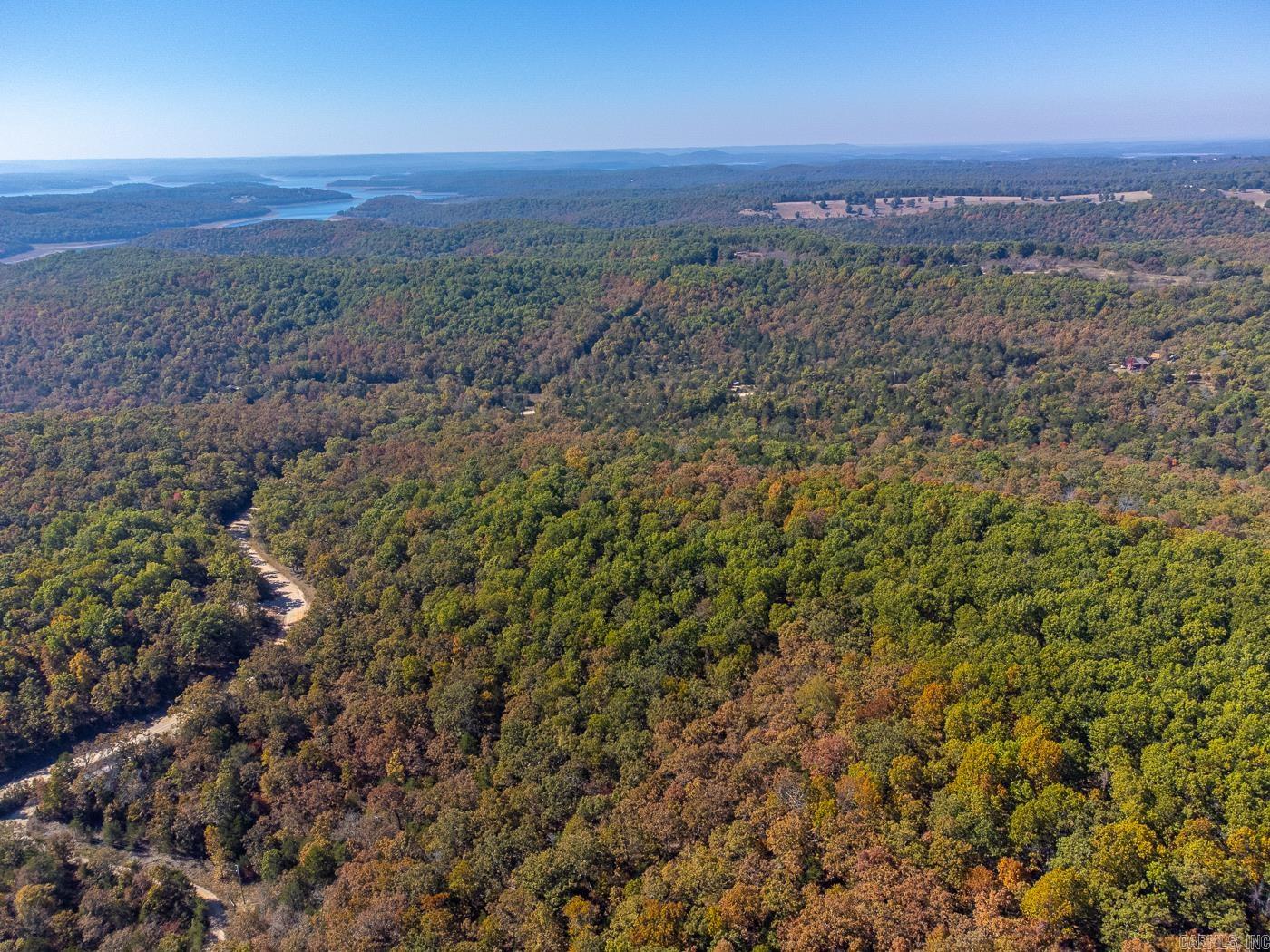 40 Acres Mc #113 Road Property Photo 17
