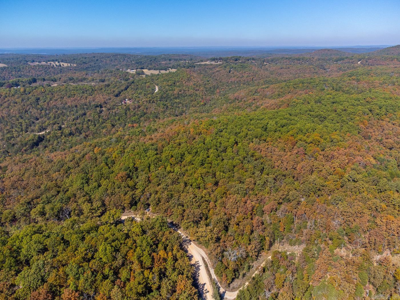 40 Acres Mc #113 Road Property Photo 18
