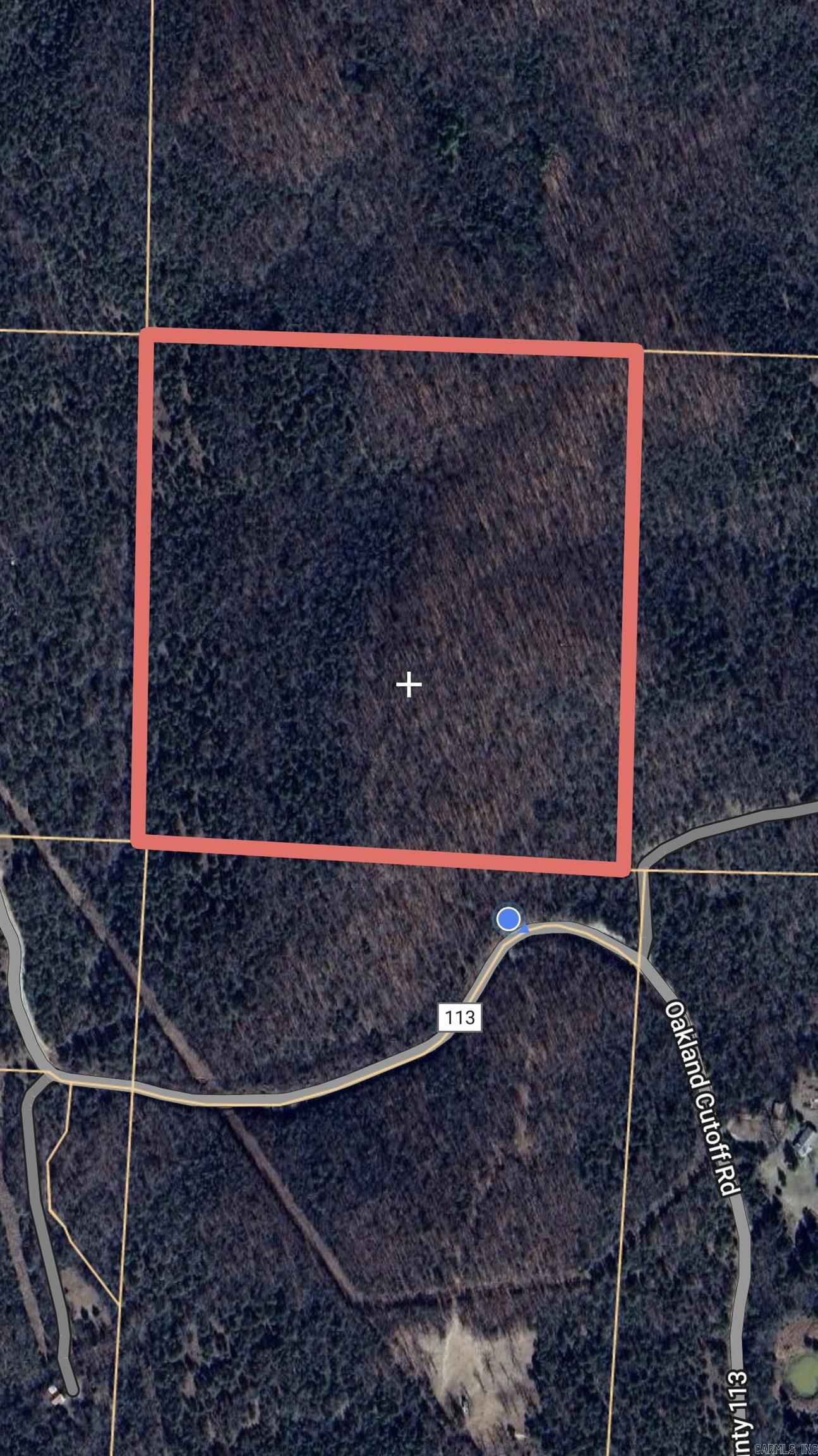 40 Acres Mc #113 Road Property Photo 19