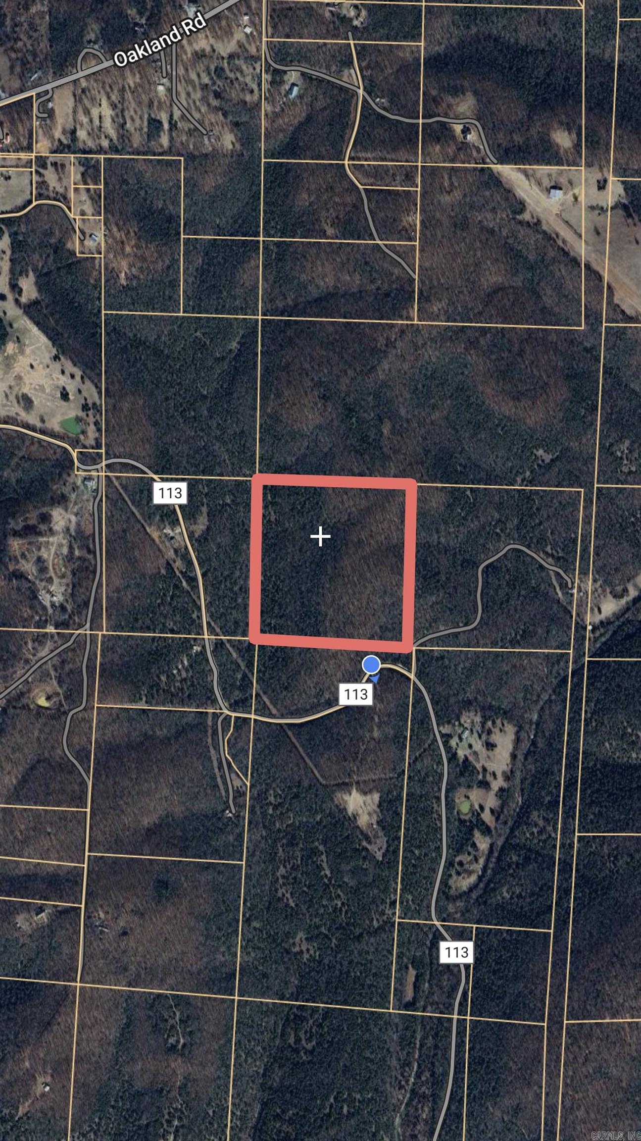40 Acres Mc #113 Road Property Photo 20