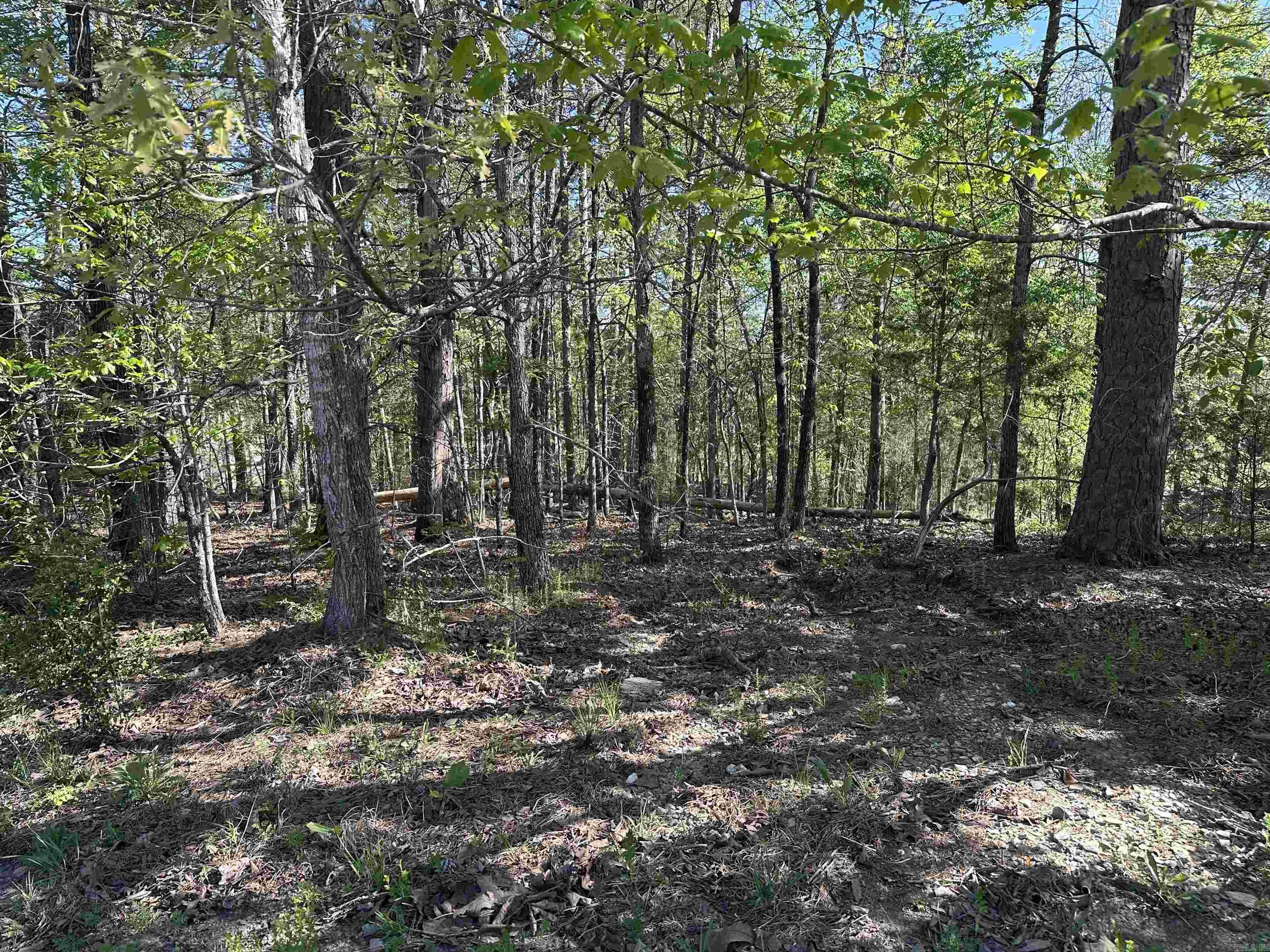 113 Pizarro Drive Property Photo 4
