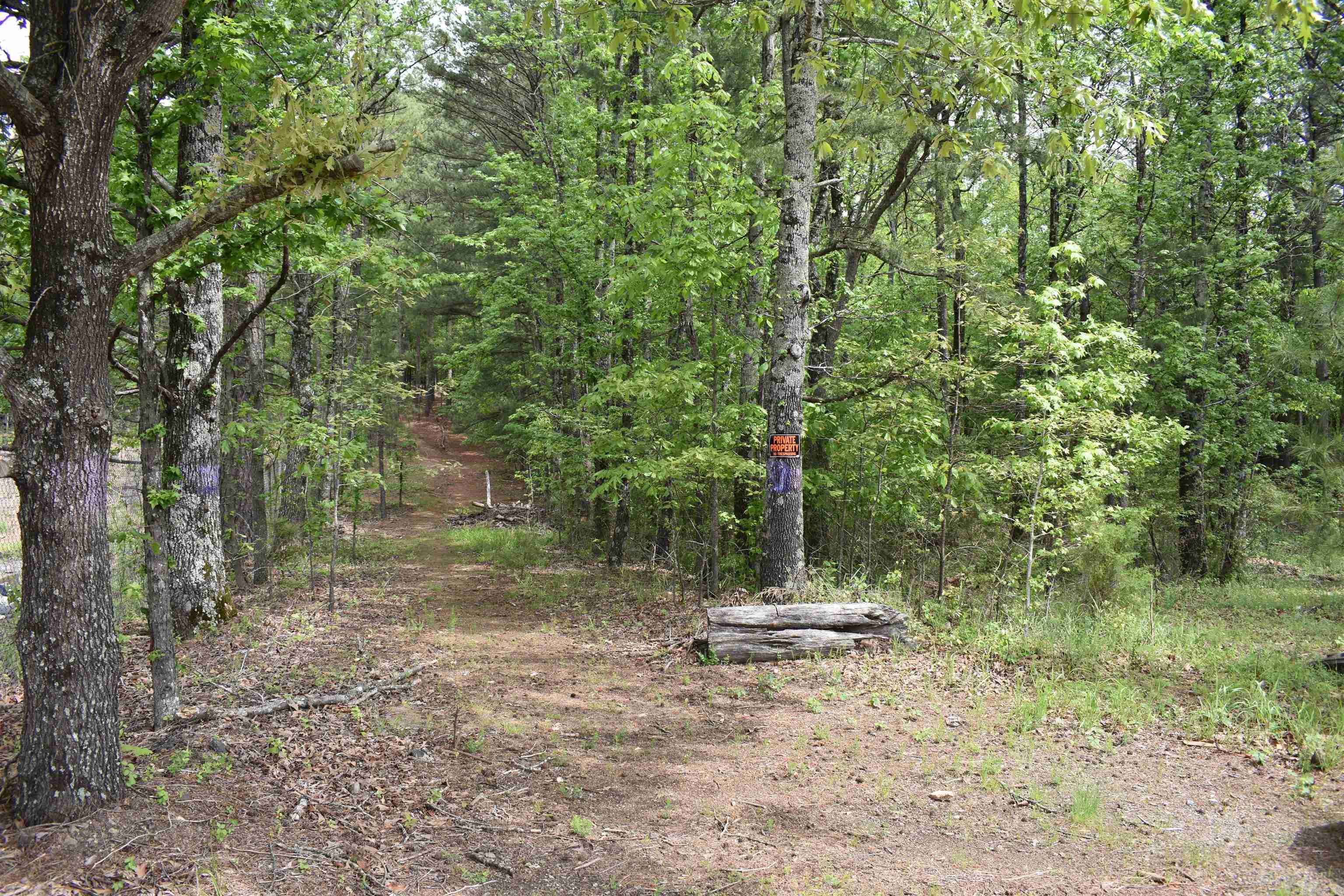 2.95 Acres Iris Place Property Photo 1