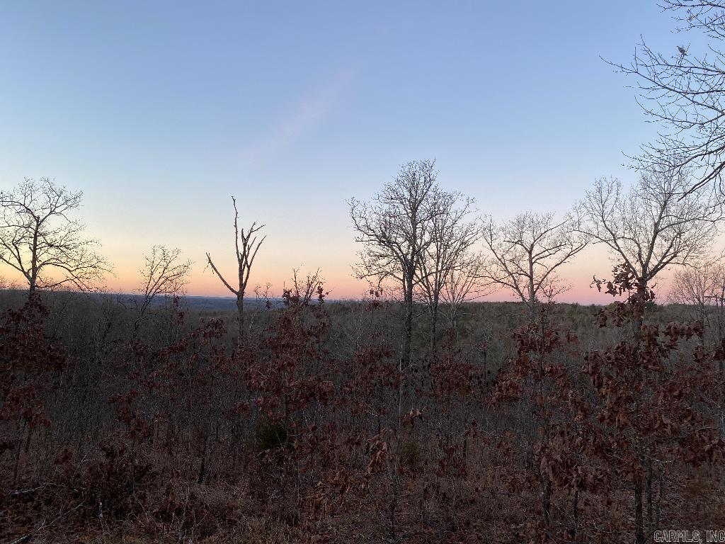 13523 Hwy 62 East Property Photo 4