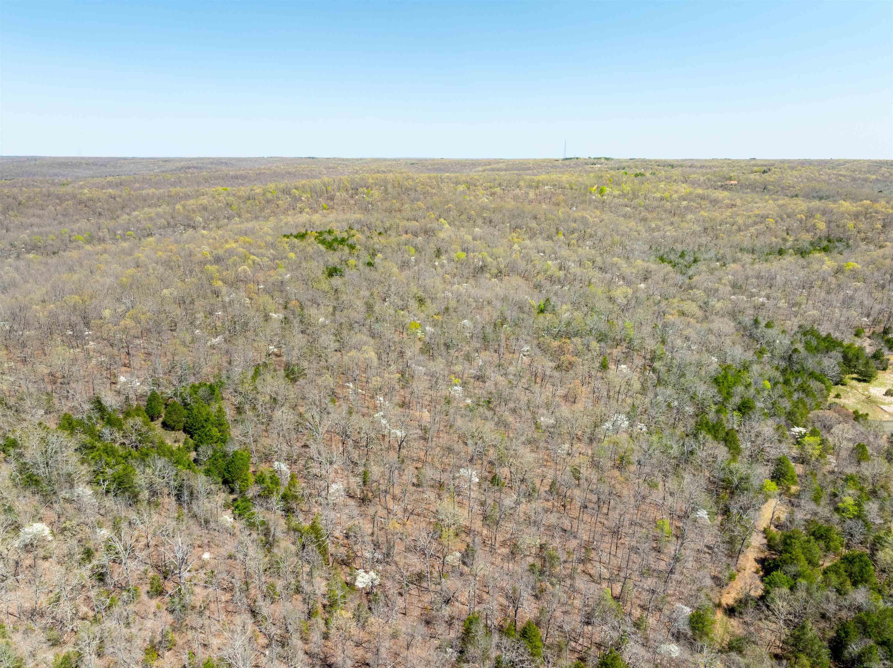 Timber Creek Trl Property Photo 1