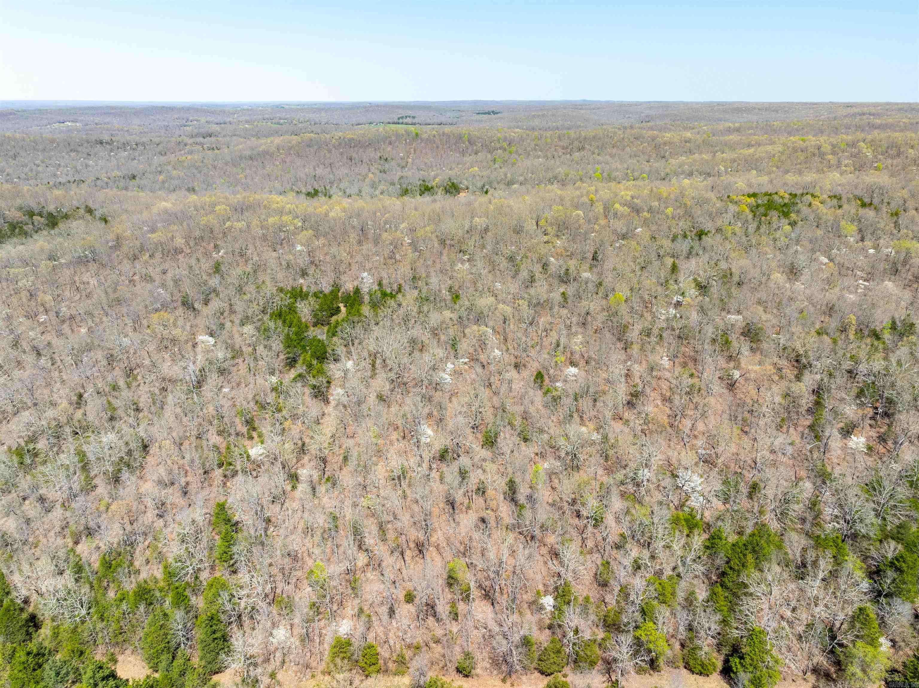 Timber Creek Trl Property Photo 2