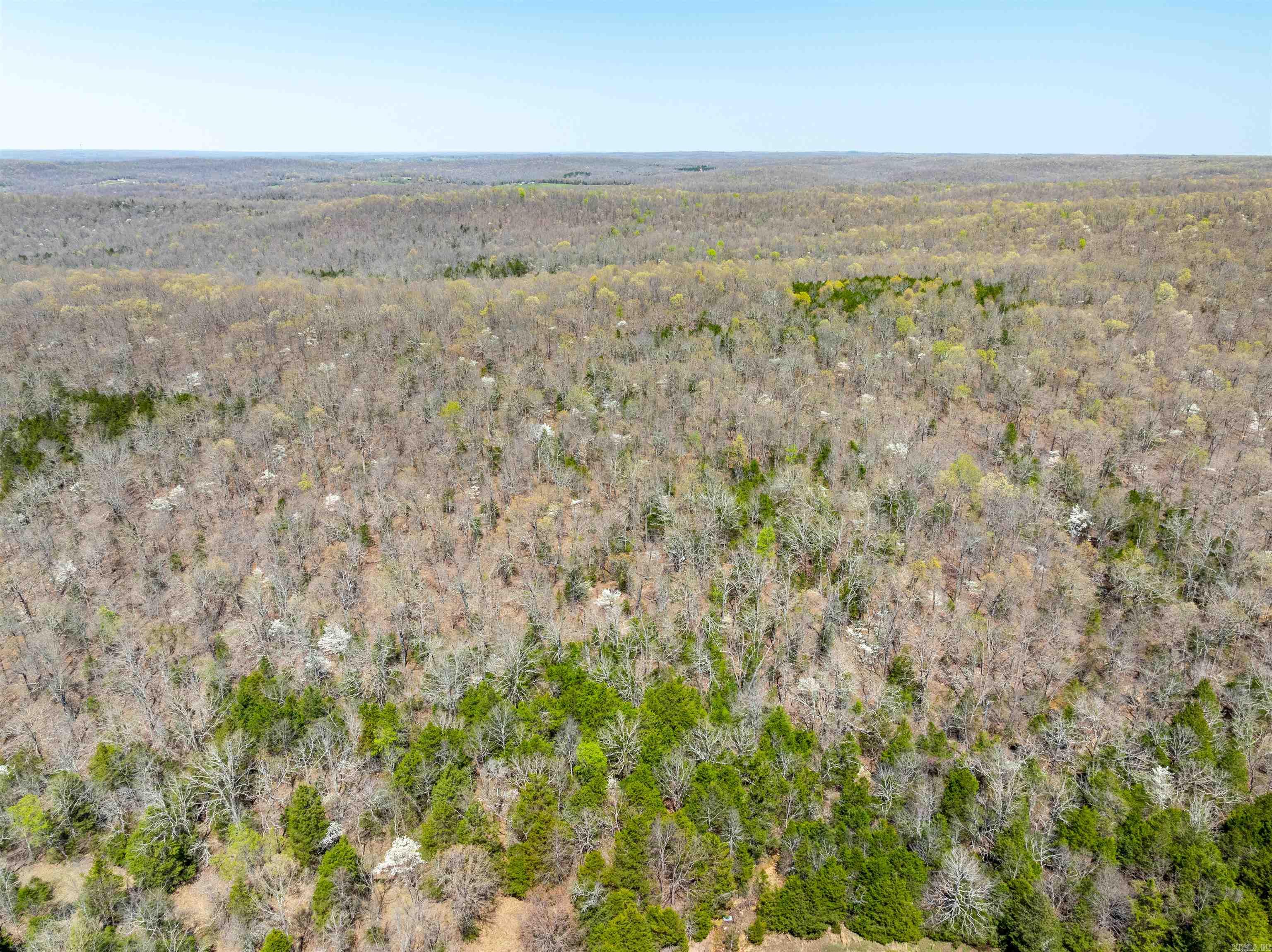 Timber Creek Trl Property Photo 4