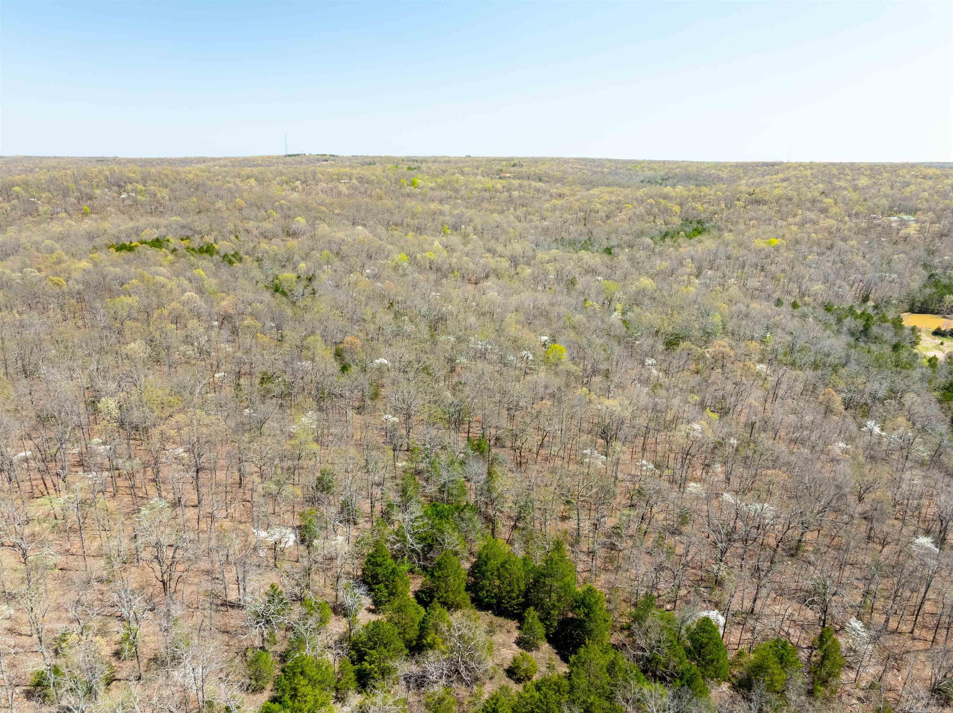 Timber Creek Trl Property Photo 5