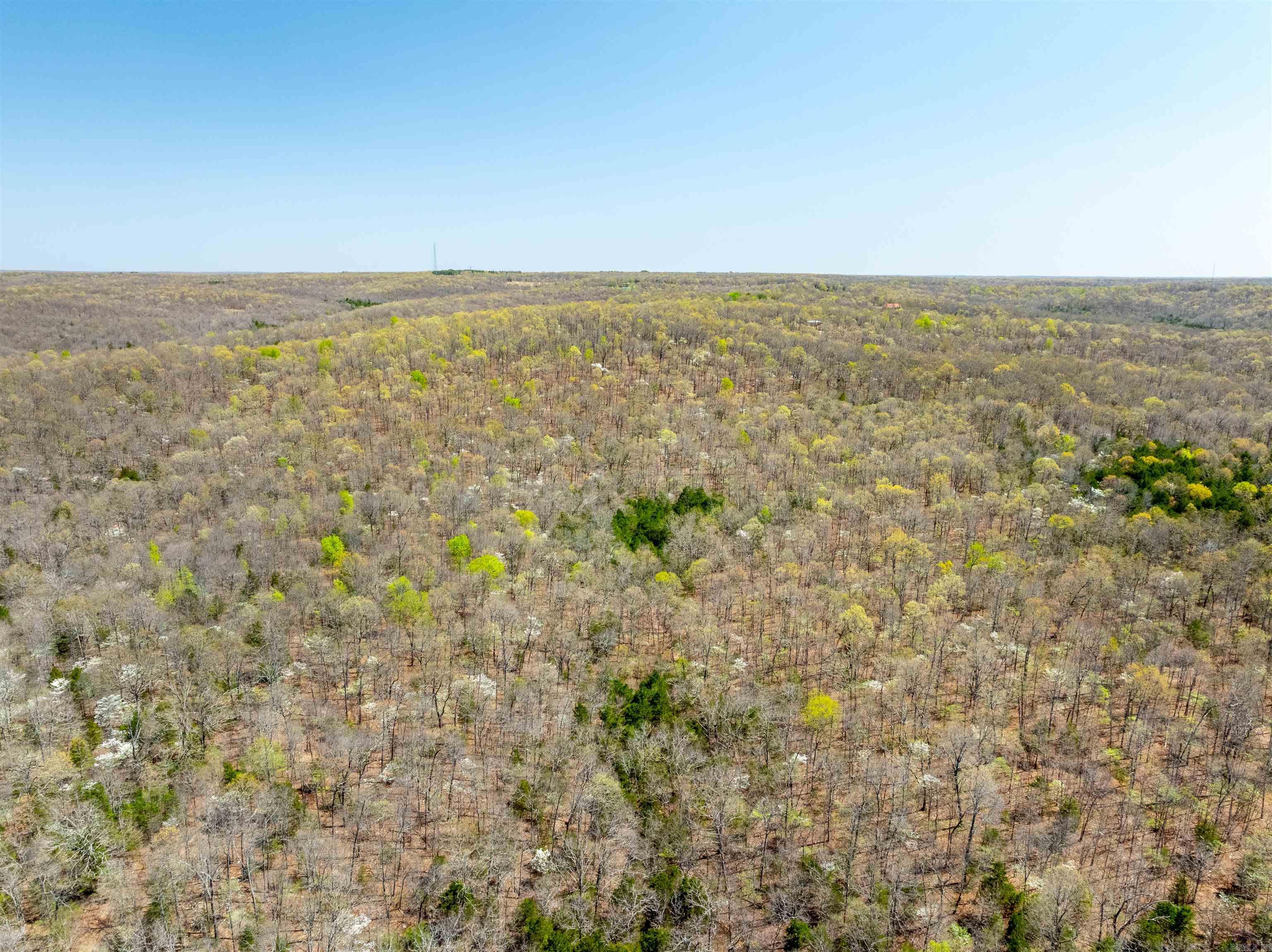 Timber Creek Trl Property Photo 6
