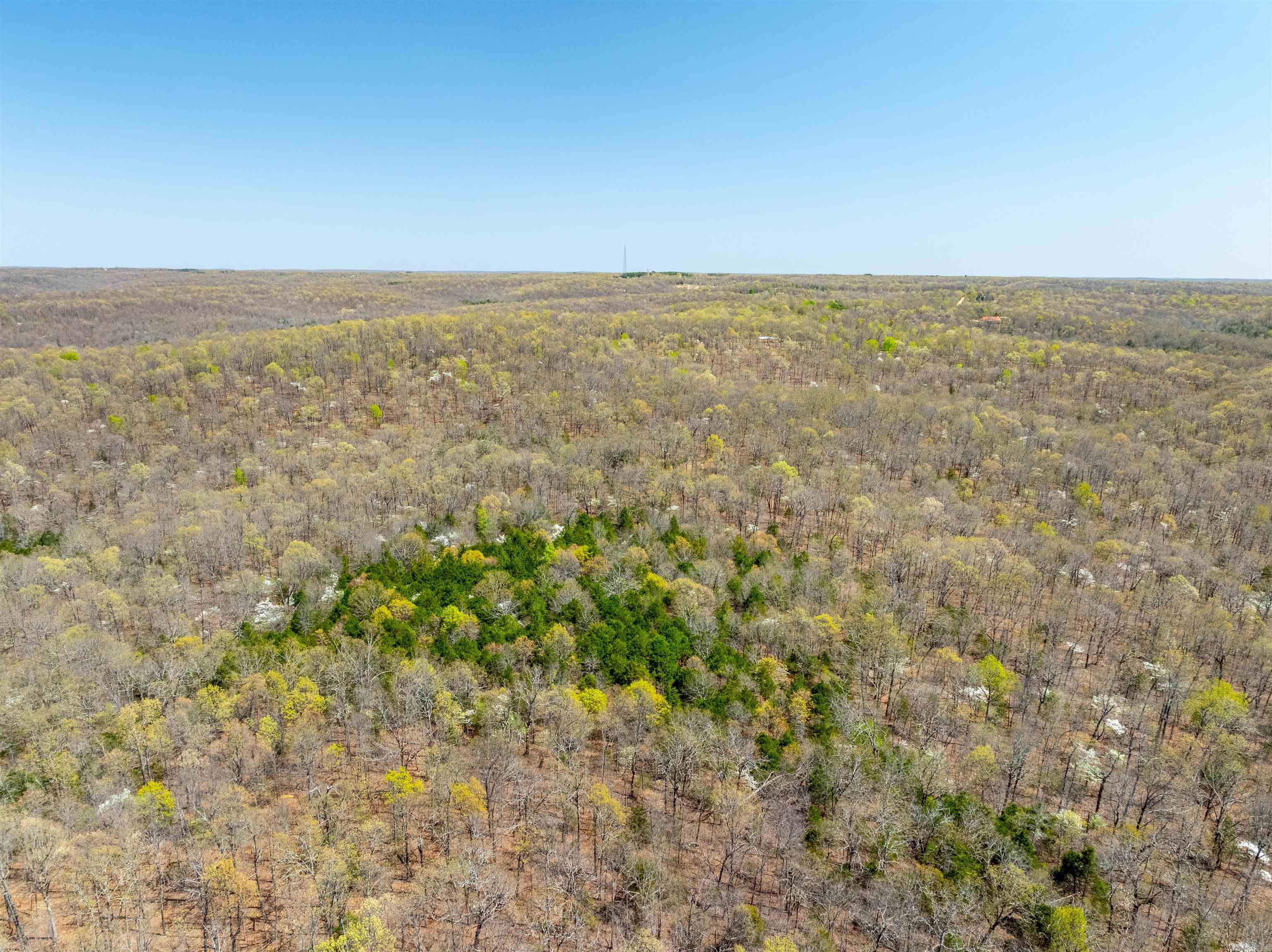 Timber Creek Trl Property Photo 7