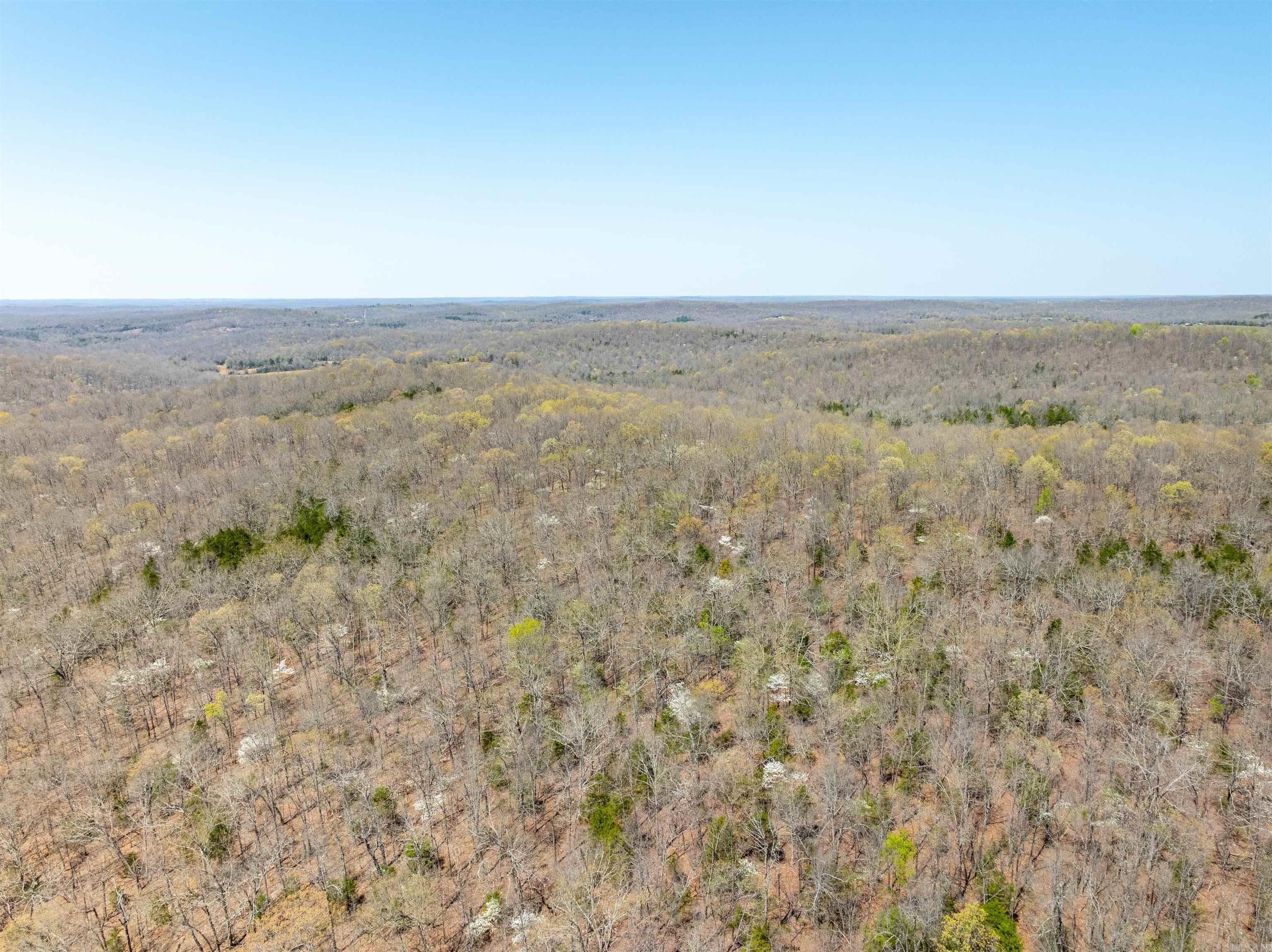 Timber Creek Trl Property Photo 8