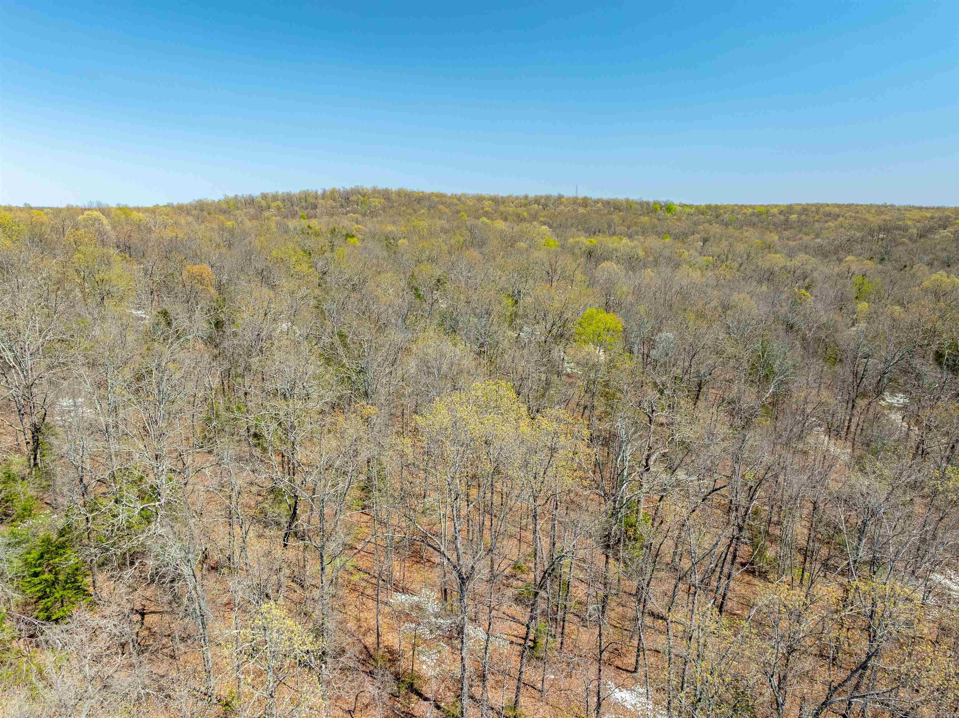 Timber Creek Trl Property Photo 11