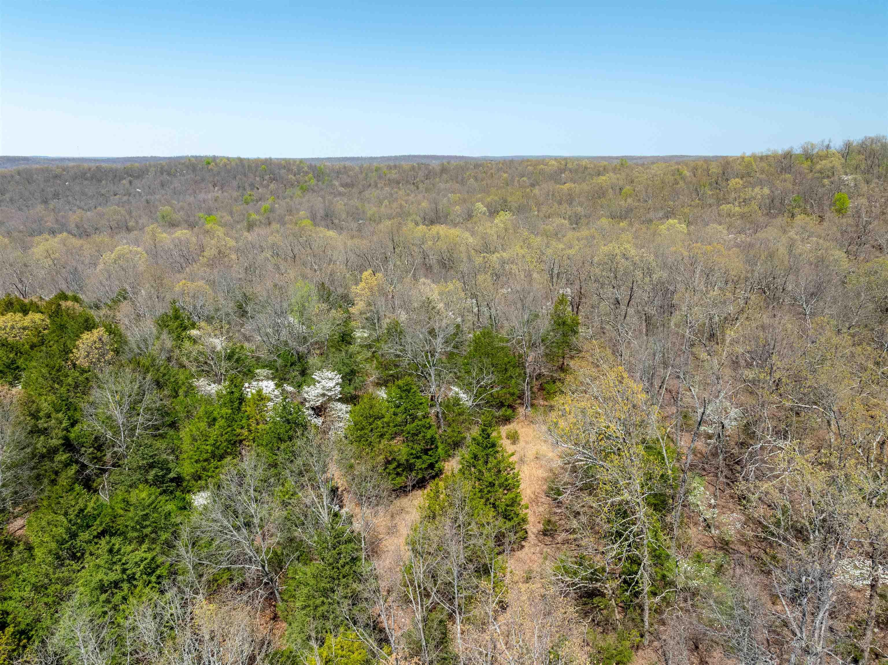 Timber Creek Trl Property Photo 12
