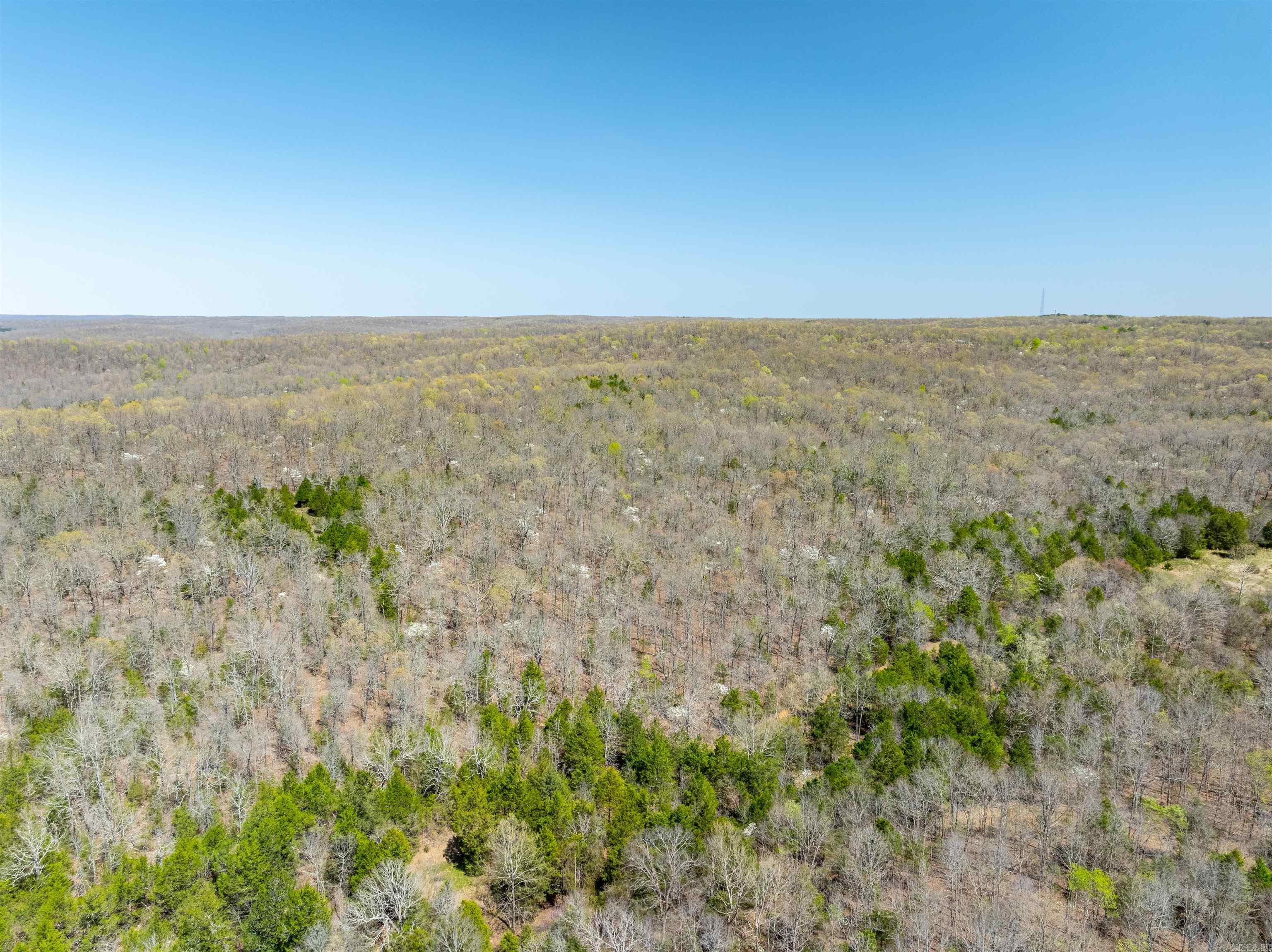 Timber Creek Trl Property Photo 13