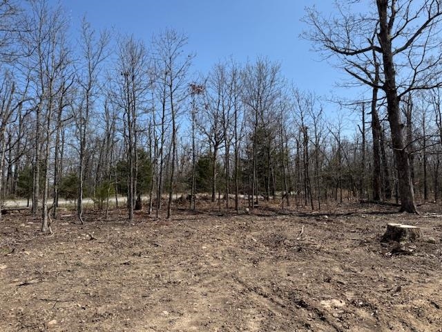 303 Mother Lode Drive Property Photo 3