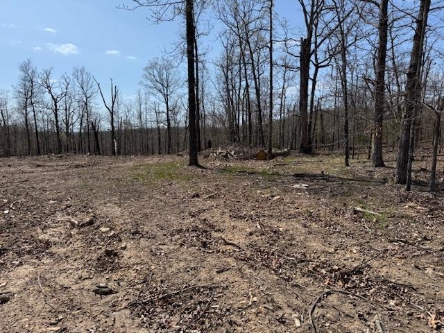 303 Mother Lode Drive Property Photo 5