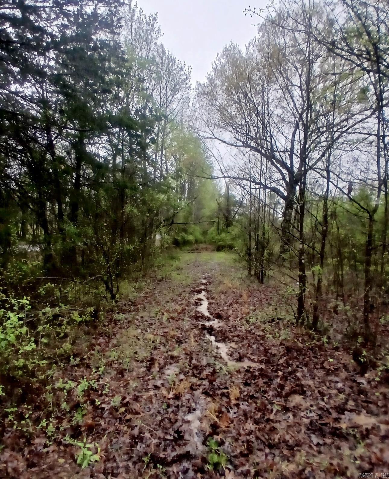 00 Shiloh Road Property Photo 3