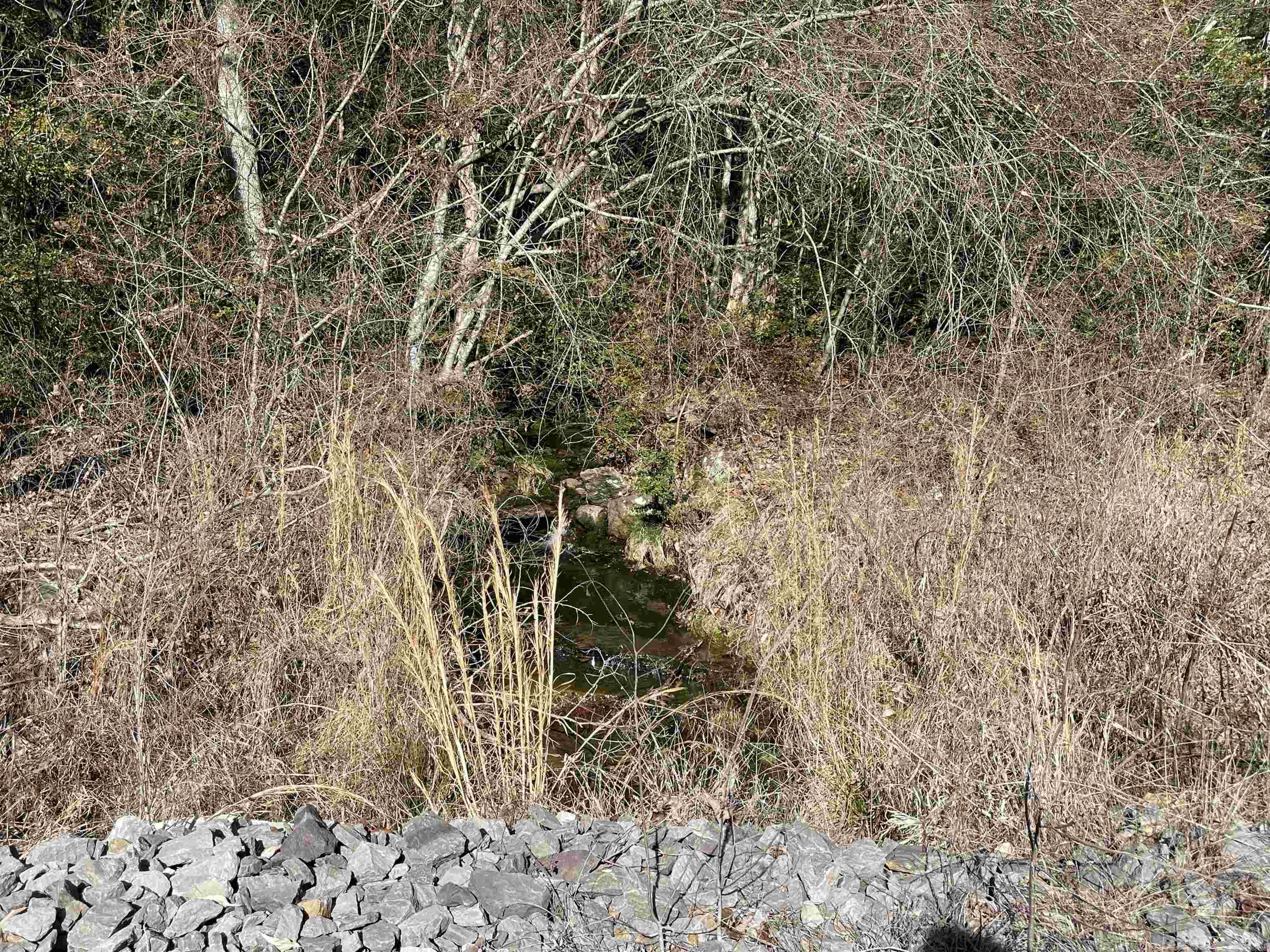 75 Fox Chase Rd. Property Photo 39
