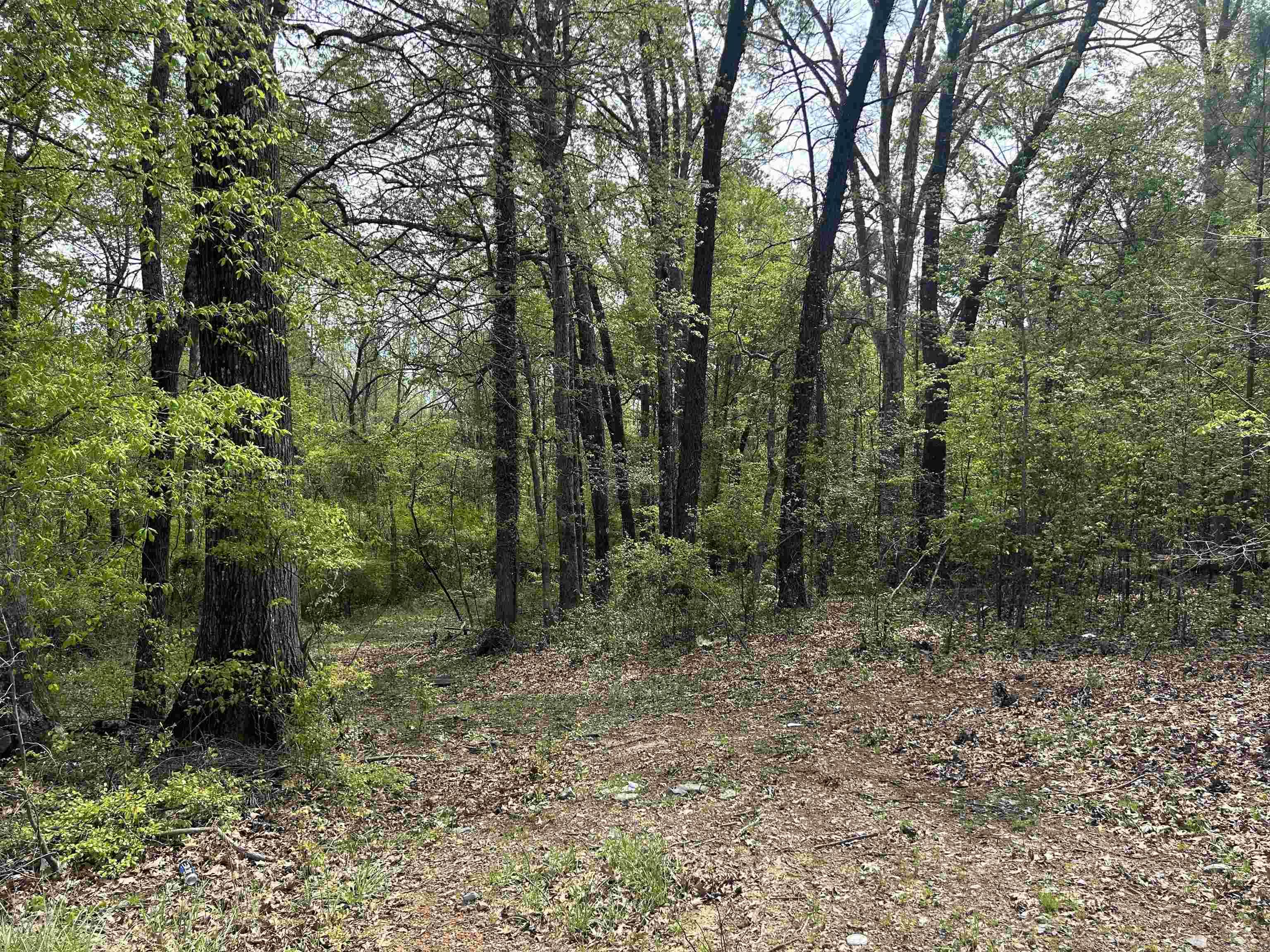 0 Center Street Highway Property Photo 2