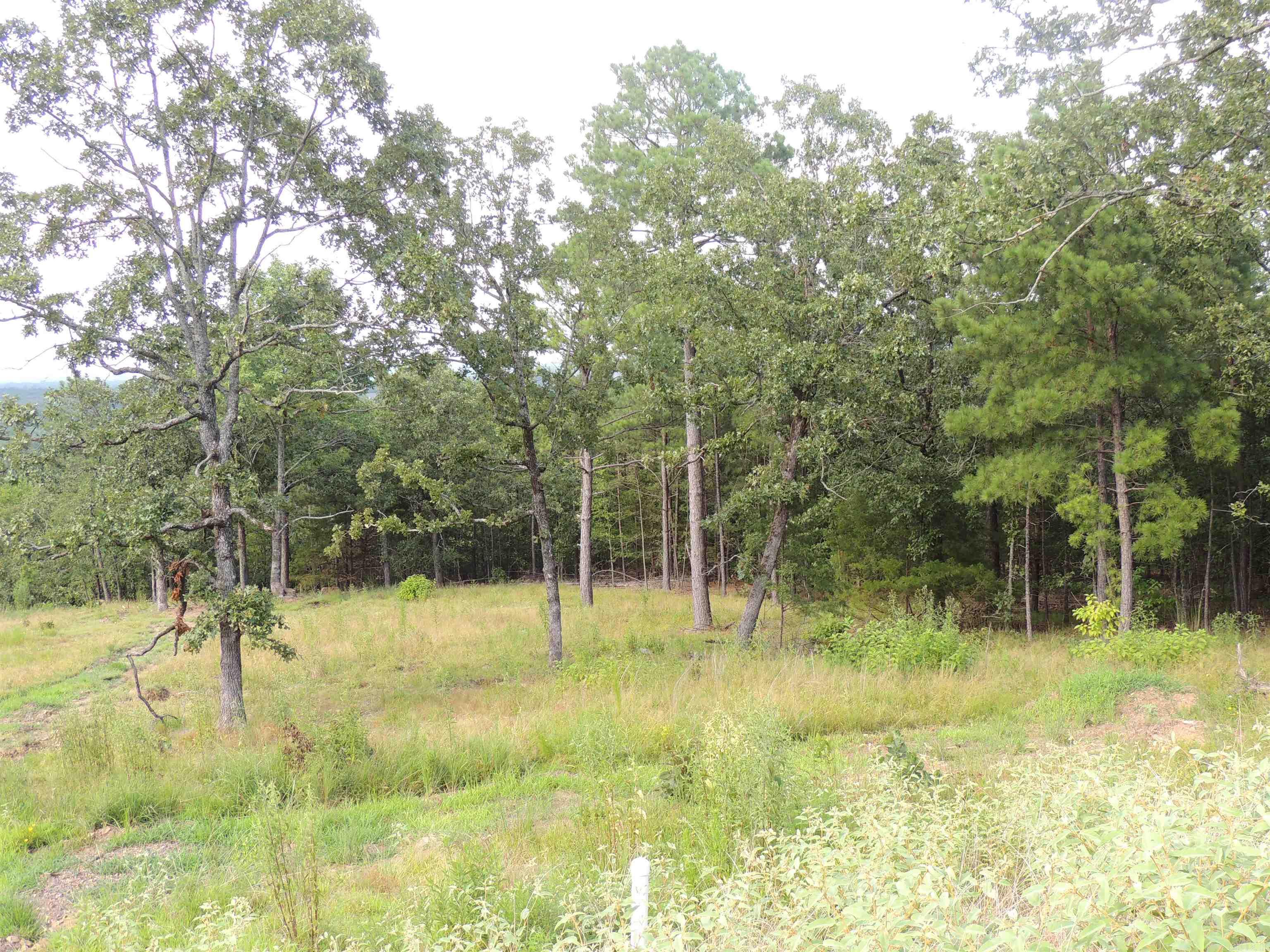 Lot 84 Summit View Lane Property Photo 8