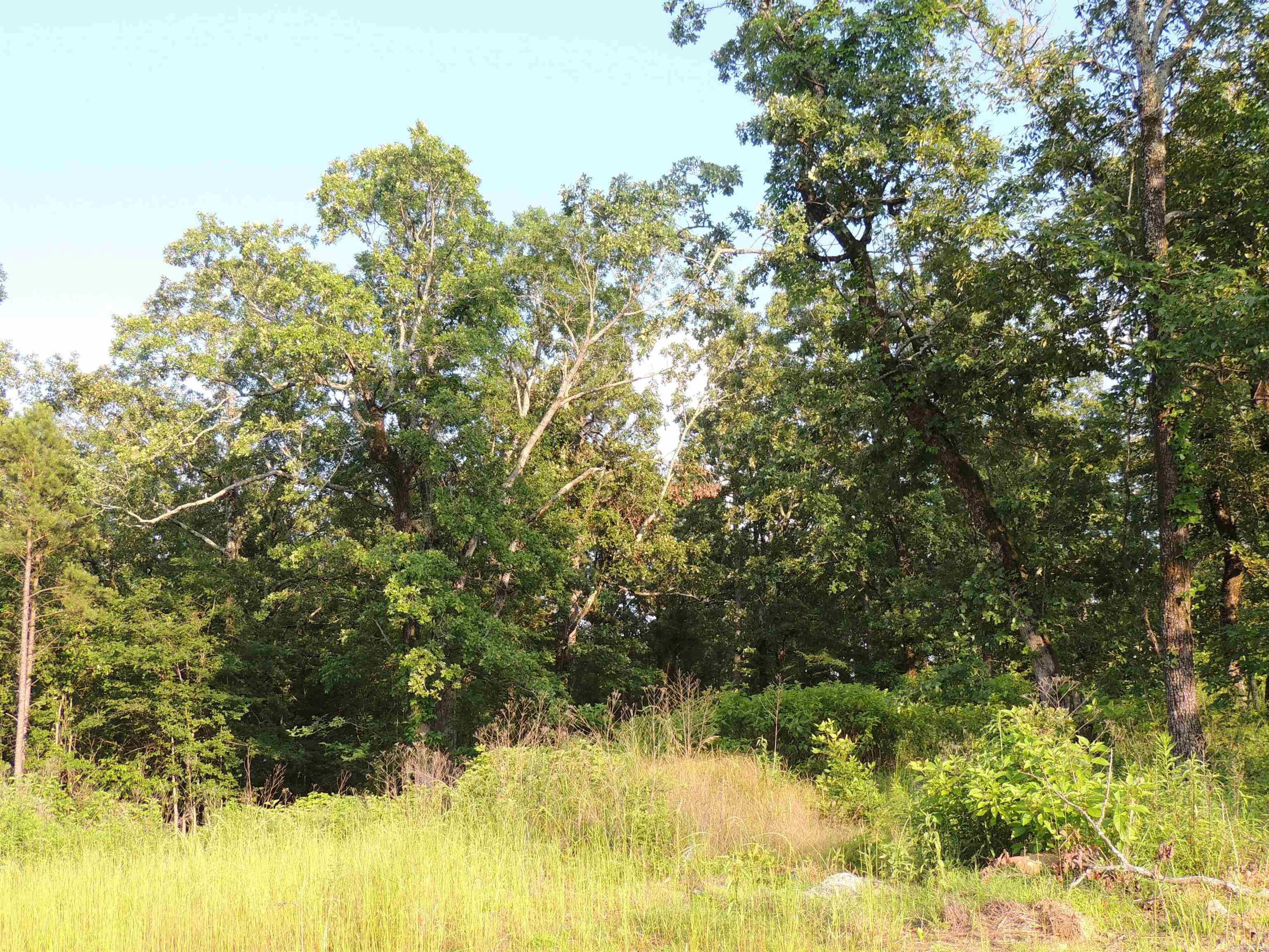 Lot 84 Summit View Lane Property Photo 21