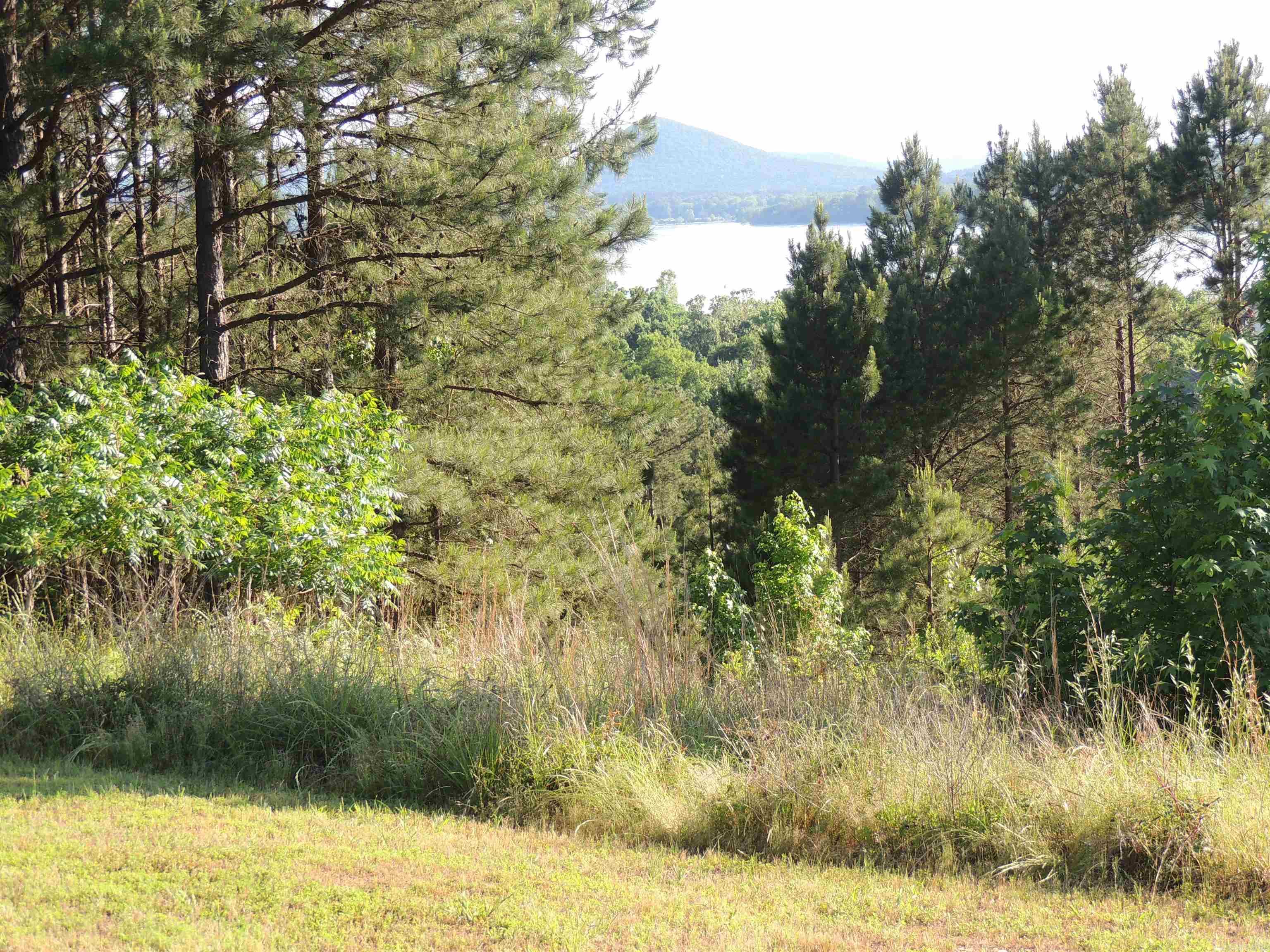 15309 Mountain View Dr Property Photo 20