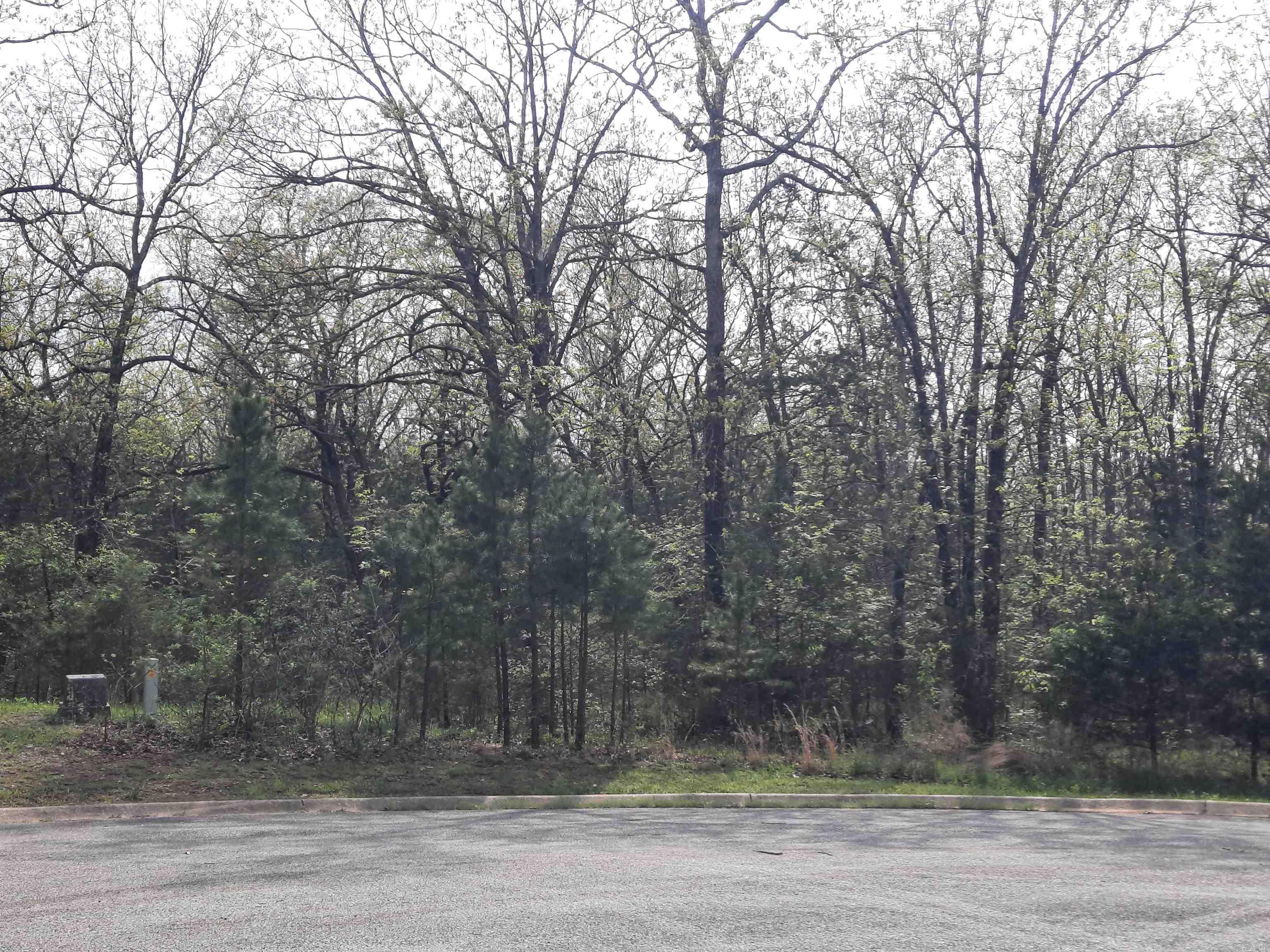 Lot 33 Tunica St. Property Photo 10