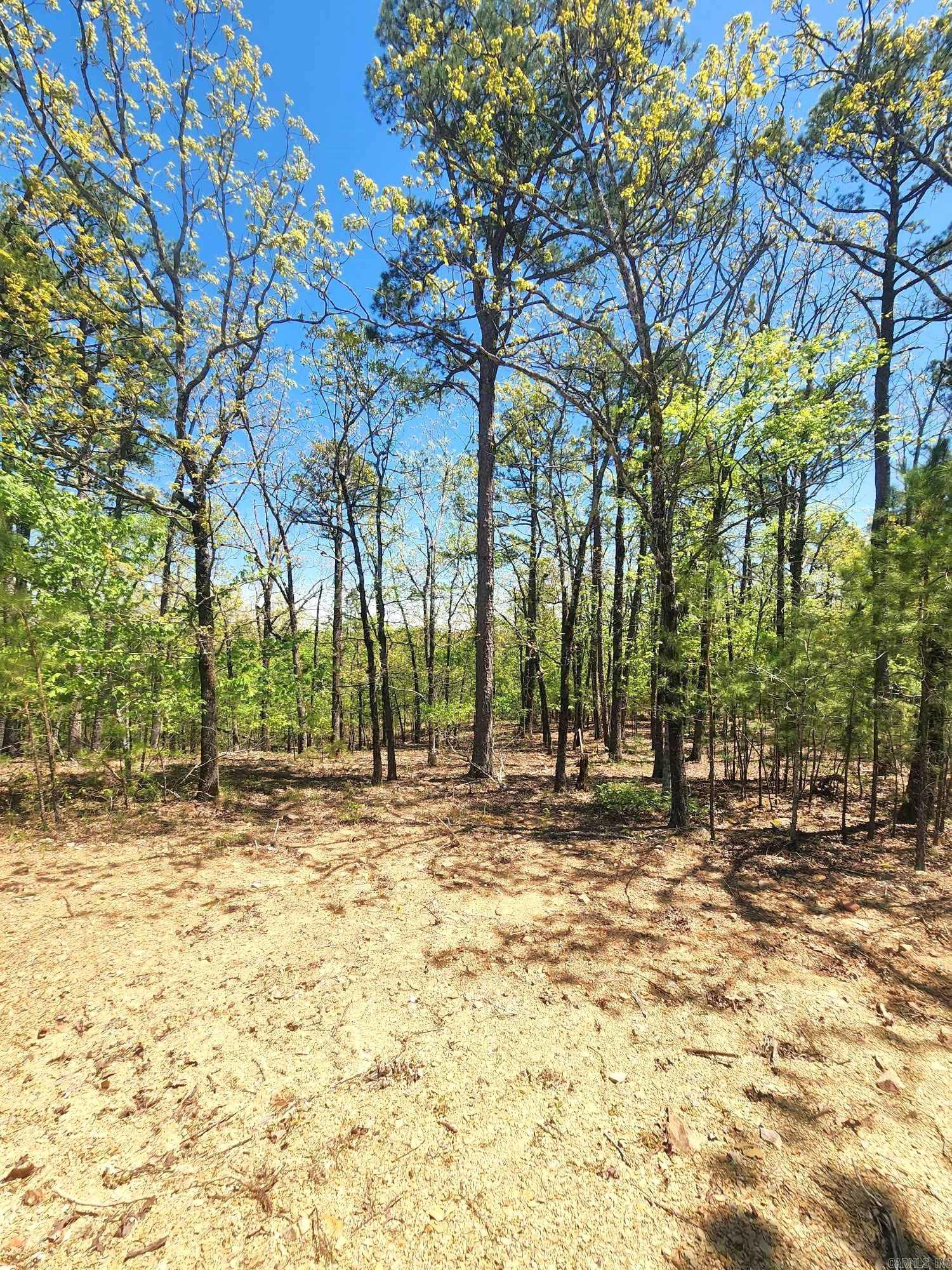 Lots 76-78 Red Oak Drive Property Photo 12