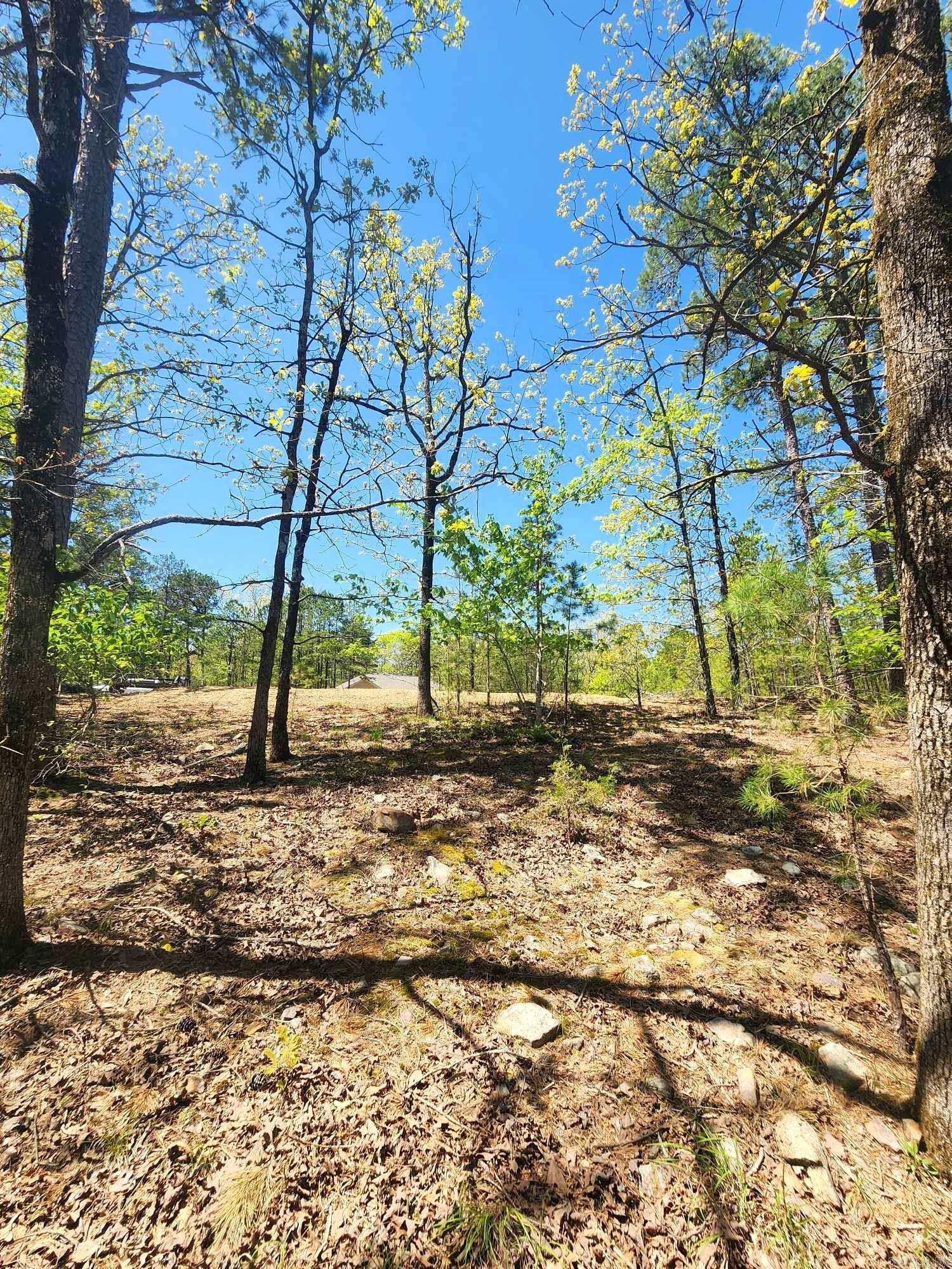 Lots 76-78 Red Oak Drive Property Photo 12