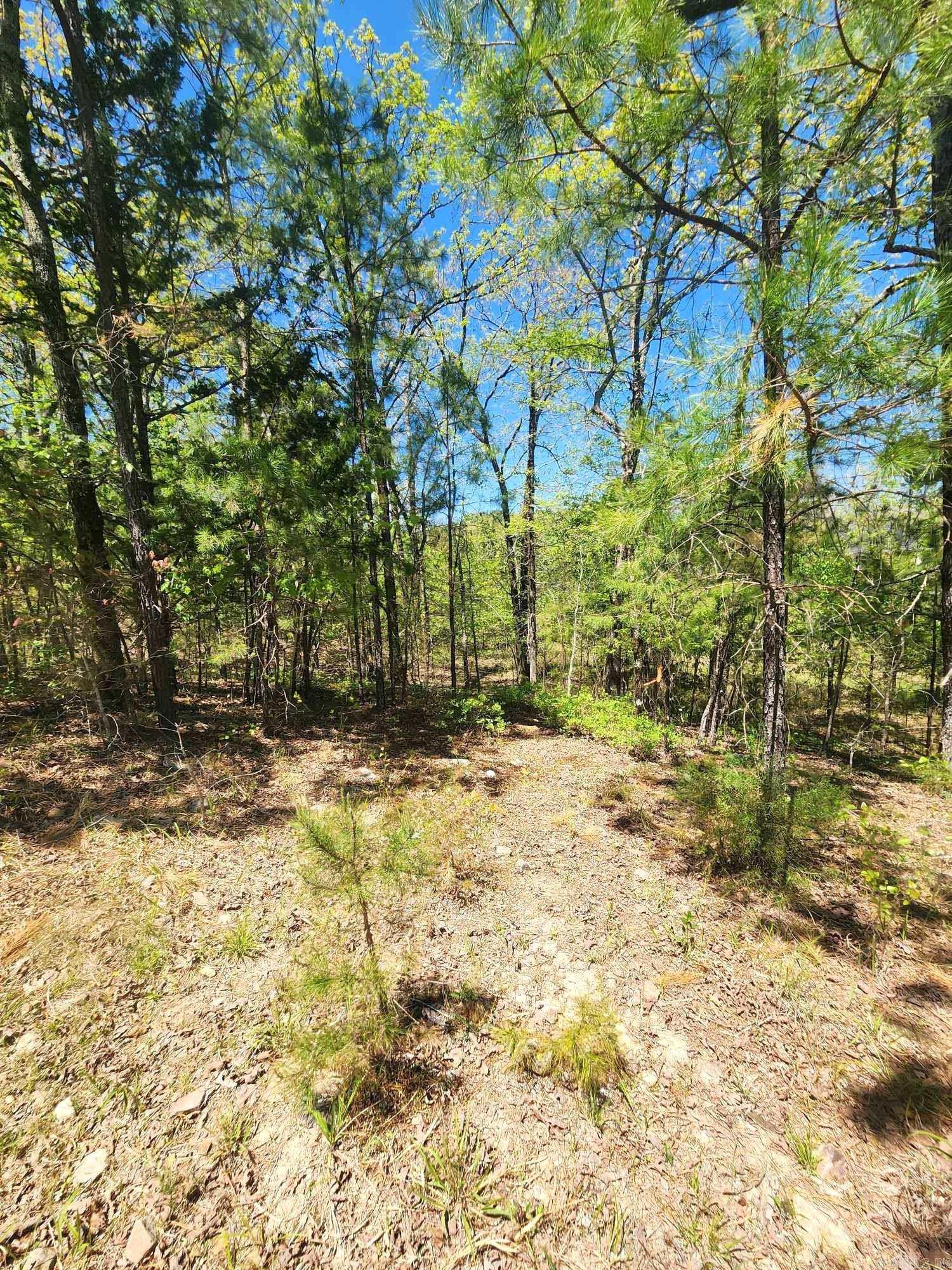 Lots 76-78 Red Oak Drive Property Photo 13