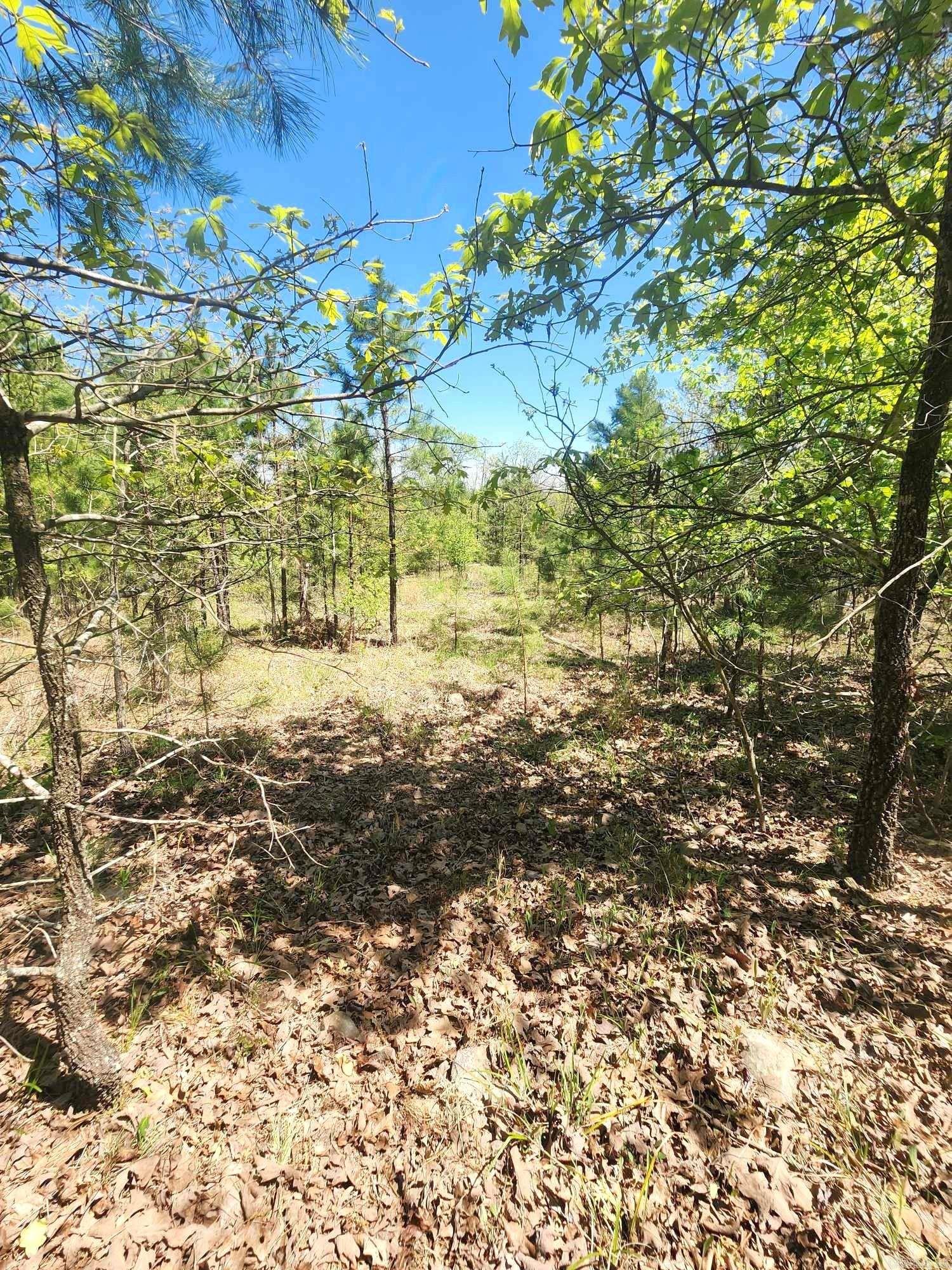 Lots 76-78 Red Oak Drive Property Photo 14