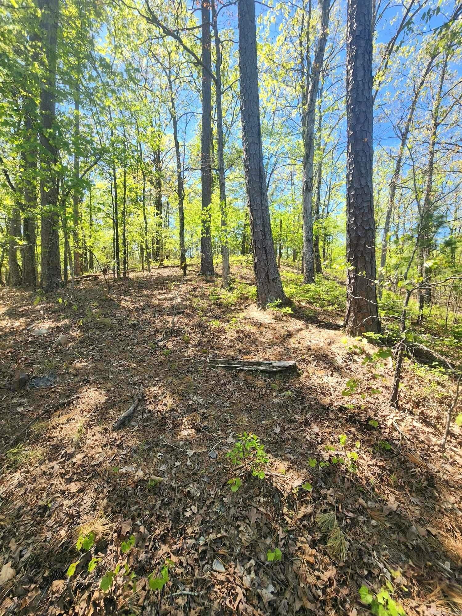 Lots 76-78 Red Oak Drive Property Photo 16