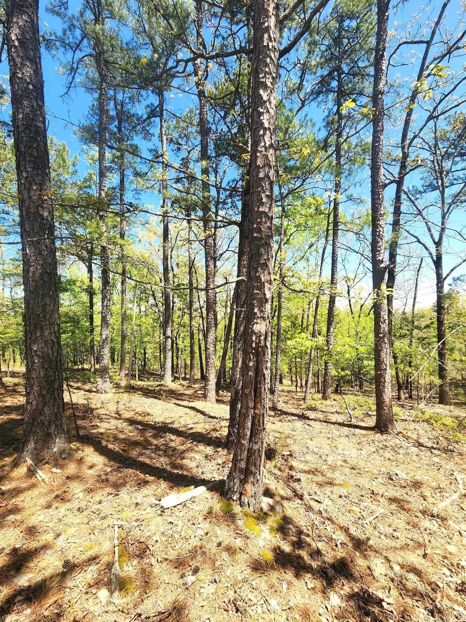 Lots 76-78 Red Oak Drive Property Photo 19