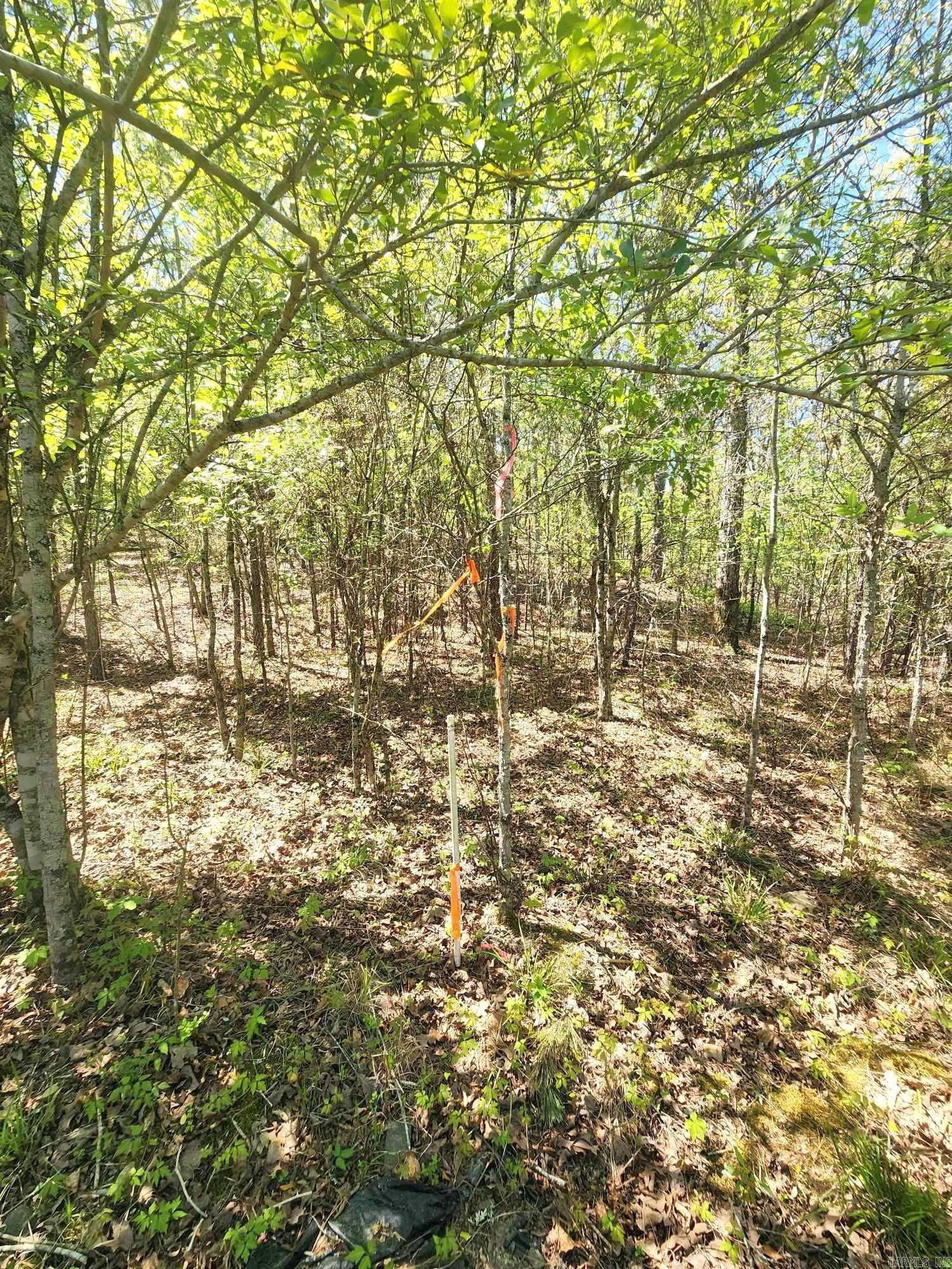 Lots 76-78 Red Oak Drive Property Photo 20