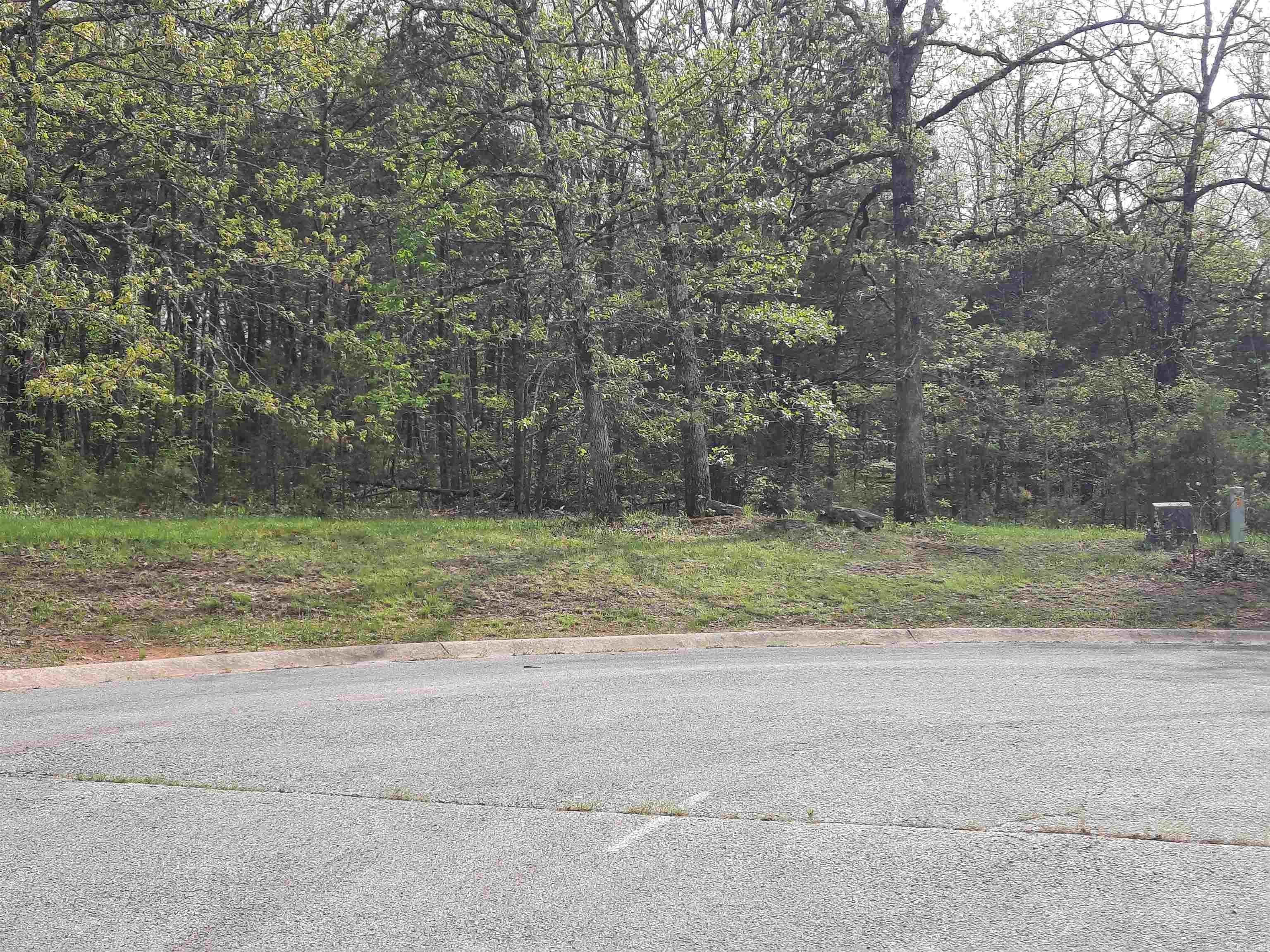 Lots 33 & 34 Tunica St Property Photo 8