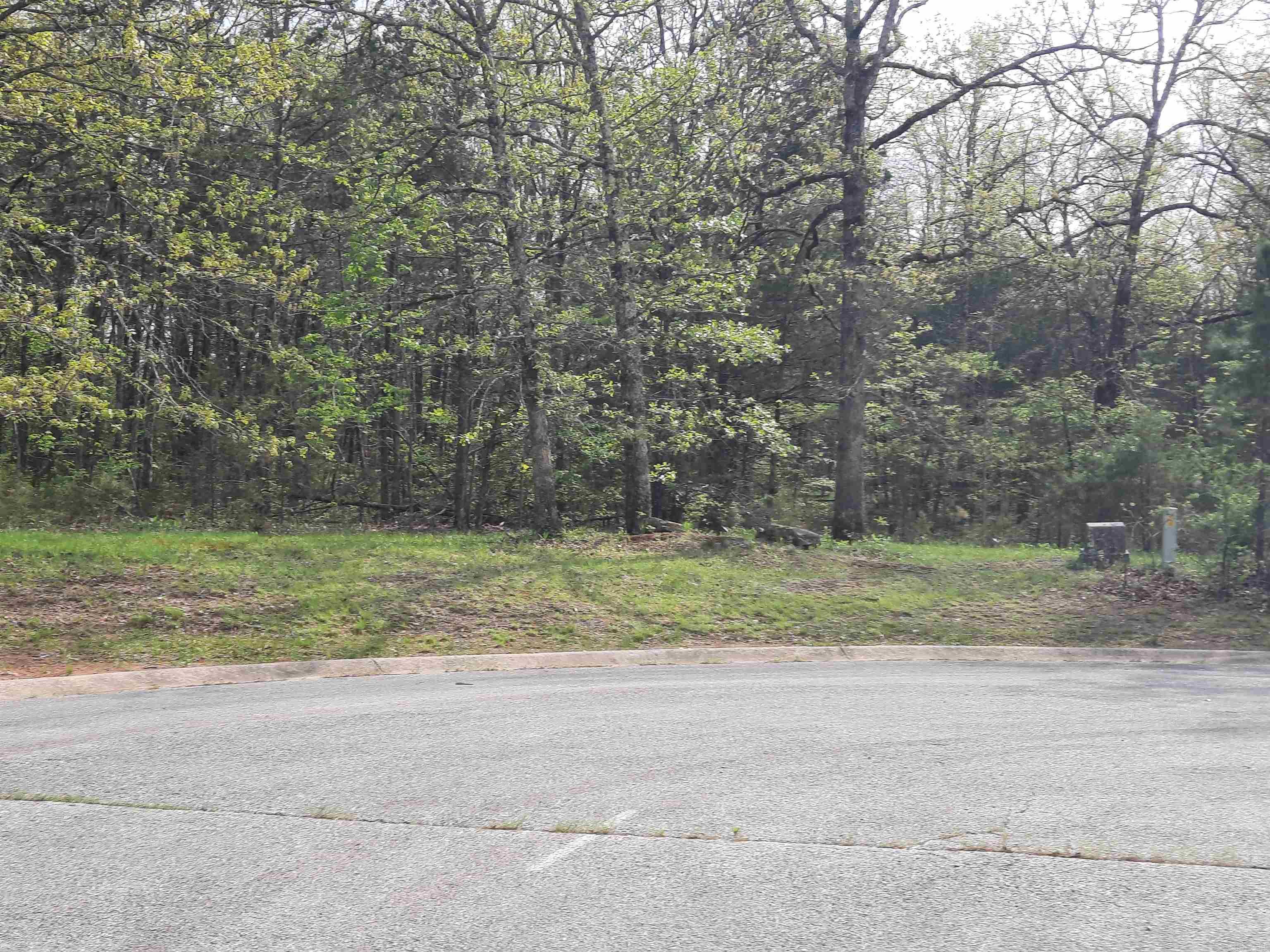 Lots 33 & 34 Tunica St Property Photo 9