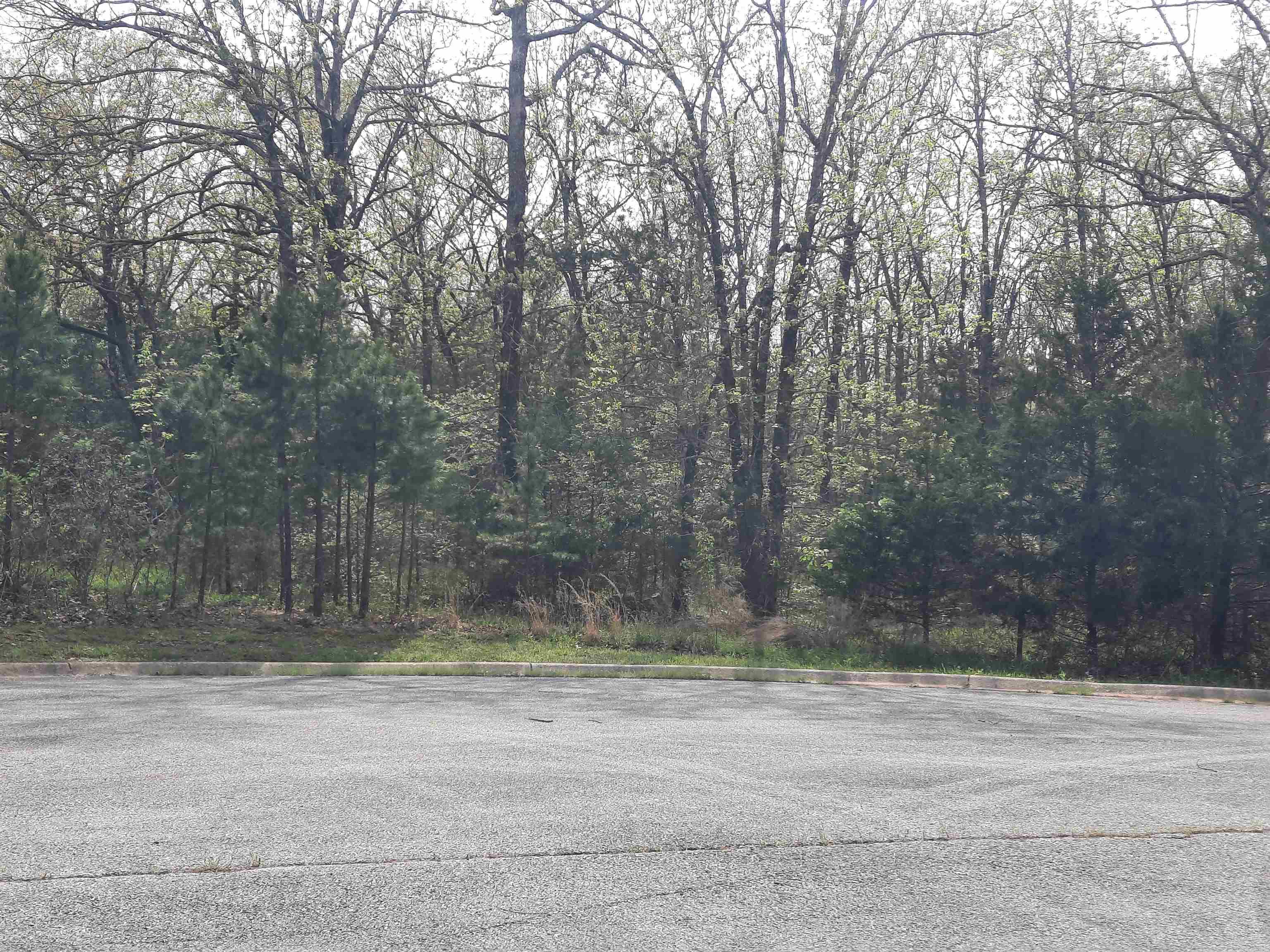 Lots 33 & 34 Tunica St Property Photo 11