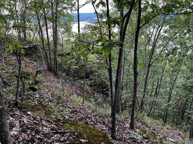 Lot 39 Bluff View Drive Property Photo 1