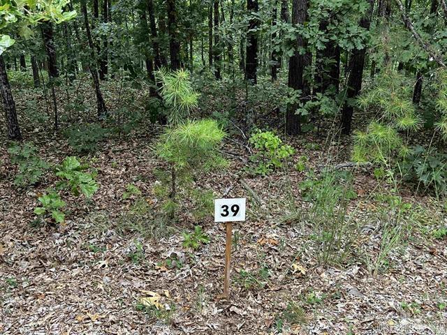Lot 39 Bluff View Drive Property Photo 3