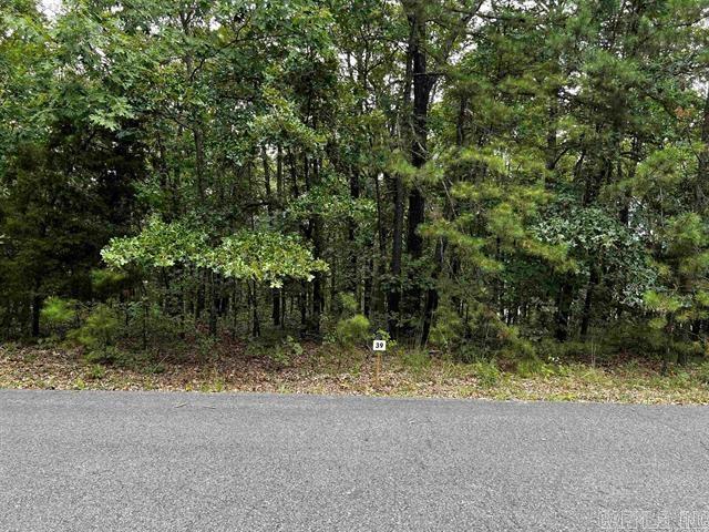 Lot 39 Bluff View Drive Property Photo 4