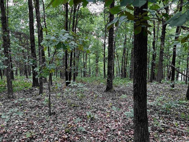 Lot 39 Bluff View Drive Property Photo 5